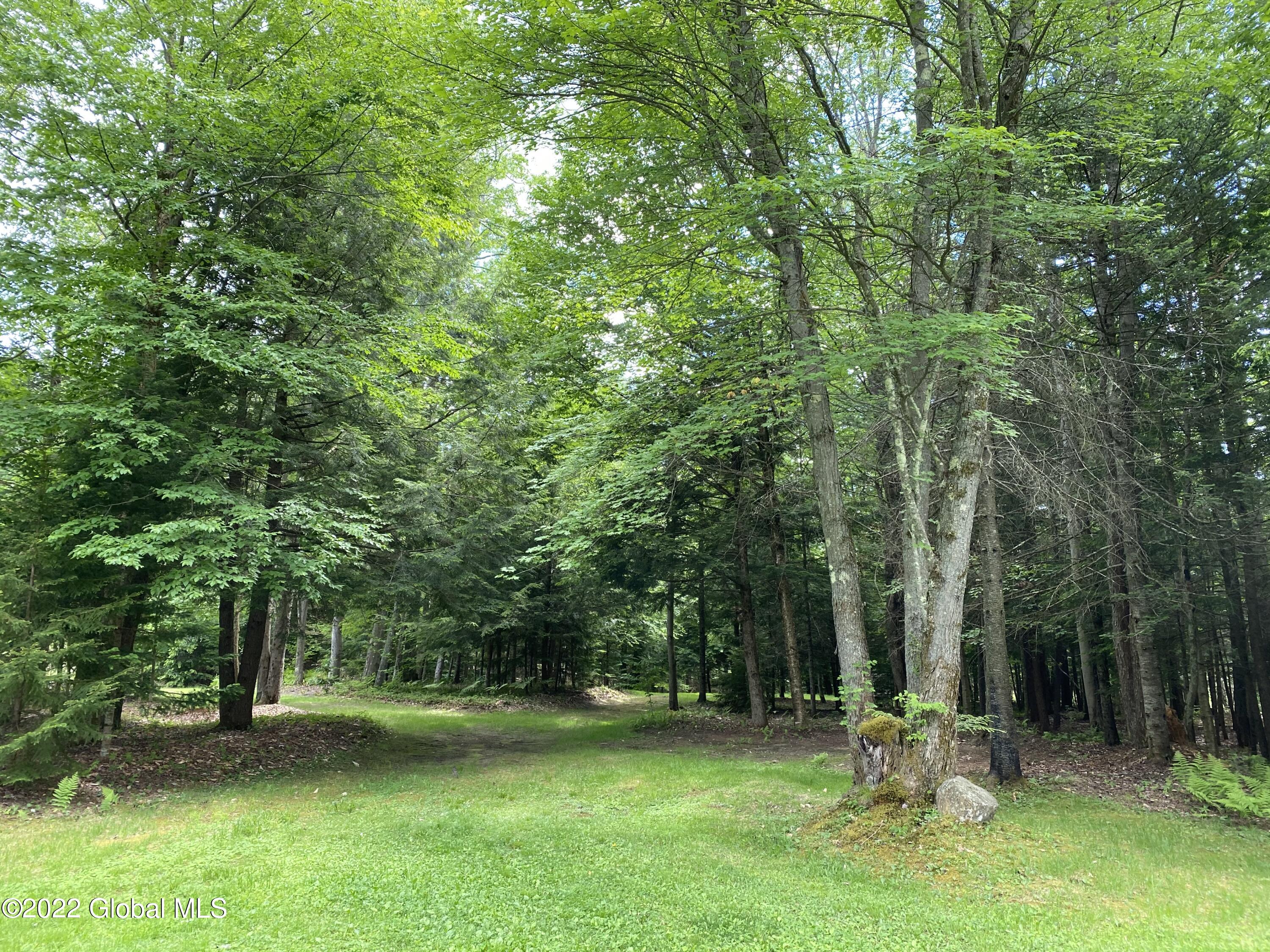 528 Dyken Pond Road Petersburgh NY 12138