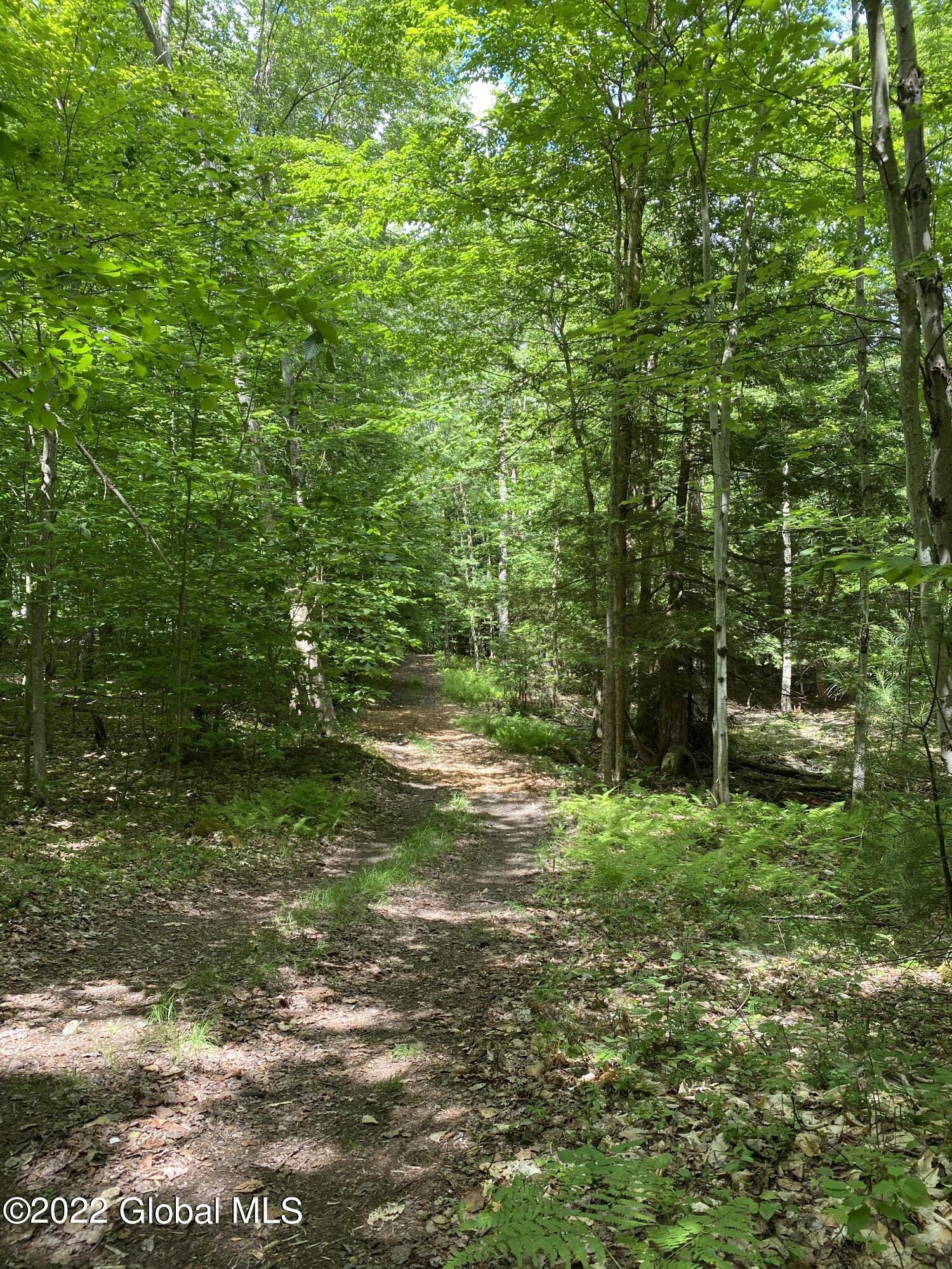 528 Dyken Pond Road Petersburgh NY 12138