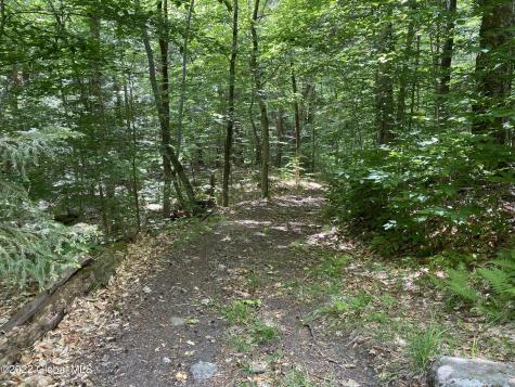 528 Dyken Pond Road Petersburgh NY 12138