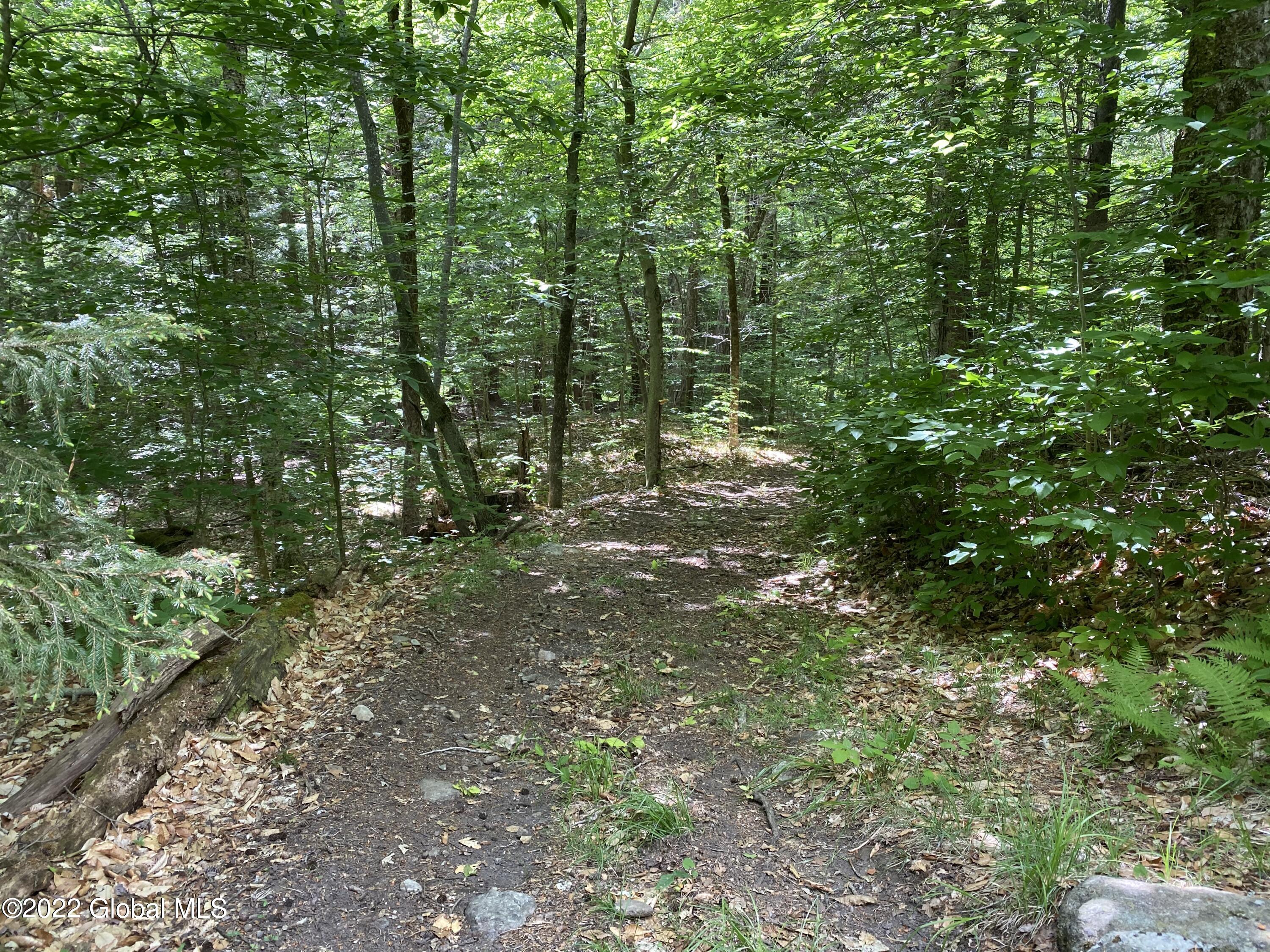 528 Dyken Pond Road Petersburgh NY 12138