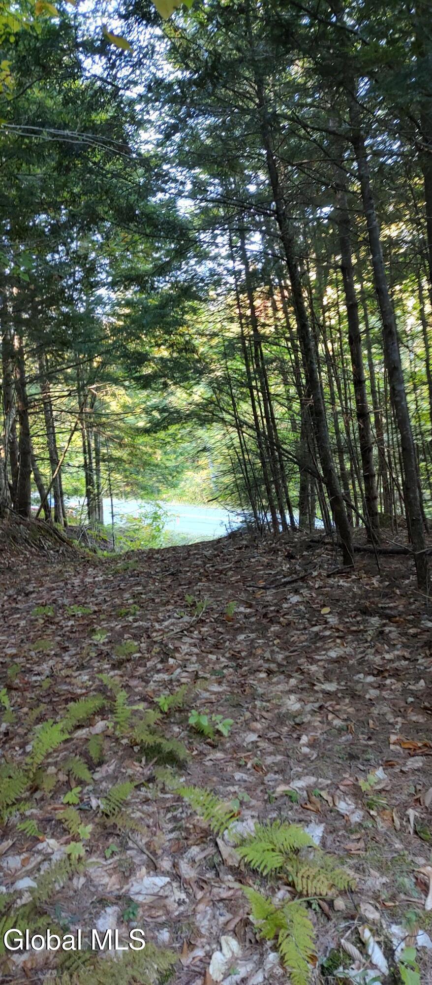 L-17.112 Hoffman Road Schroon Lake NY 12870