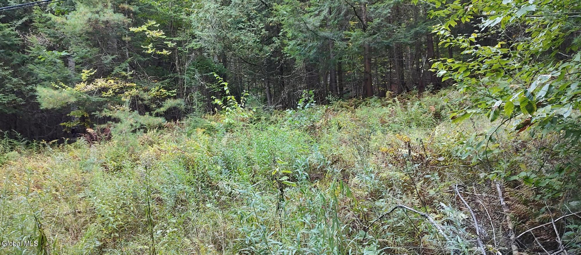 L-17.112 Hoffman Road Schroon Lake NY 12870