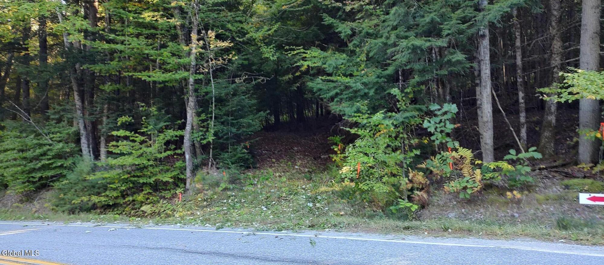 L-17.112 Hoffman Road Schroon Lake NY 12870