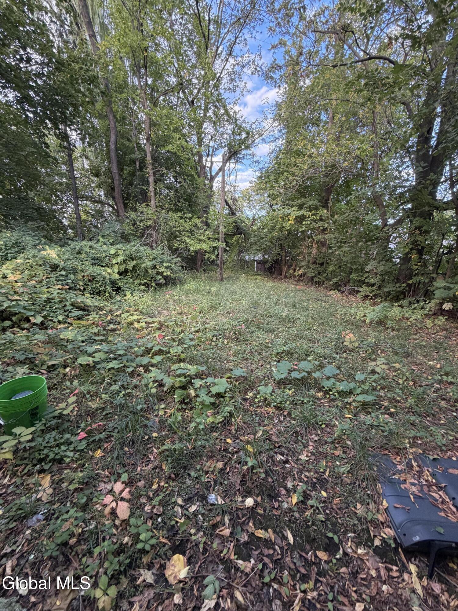 279 Livingston Avenue Albany NY 12210