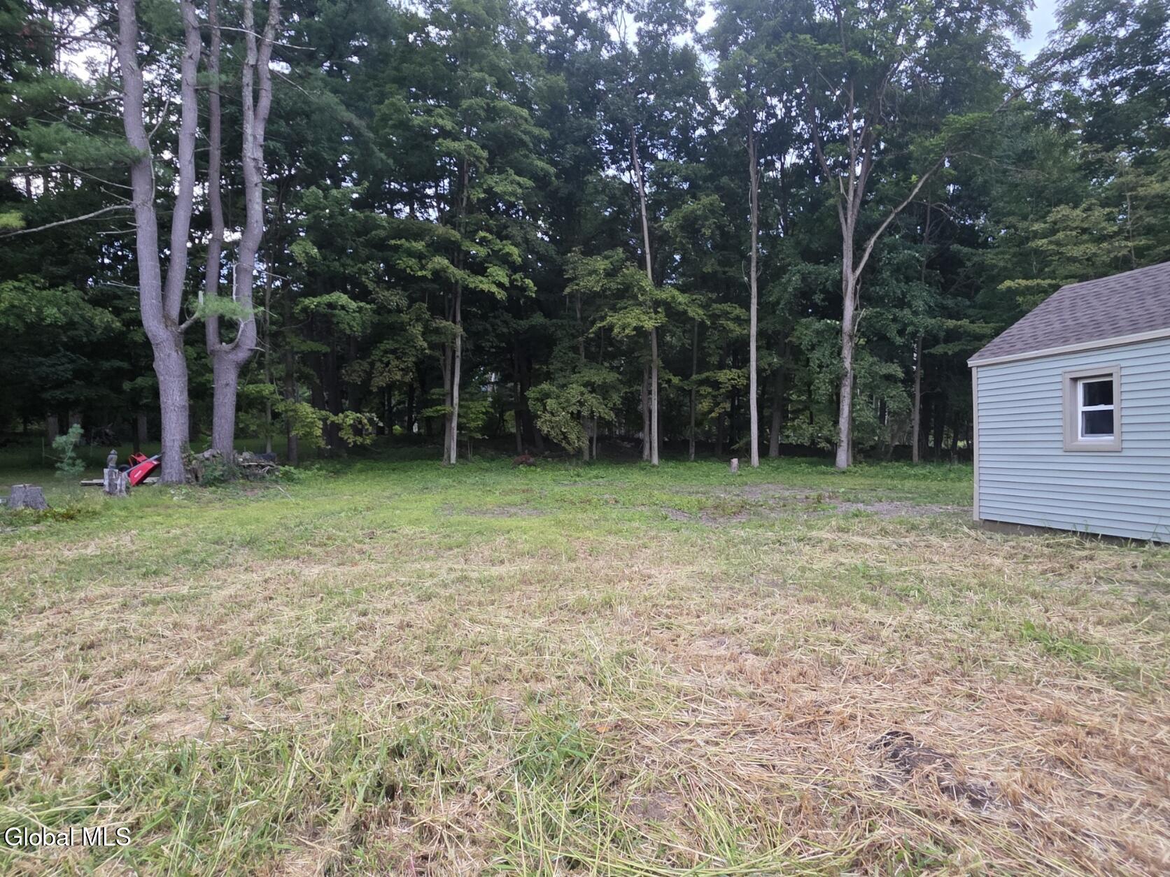 161 Maple Avenue Glenville NY 12302