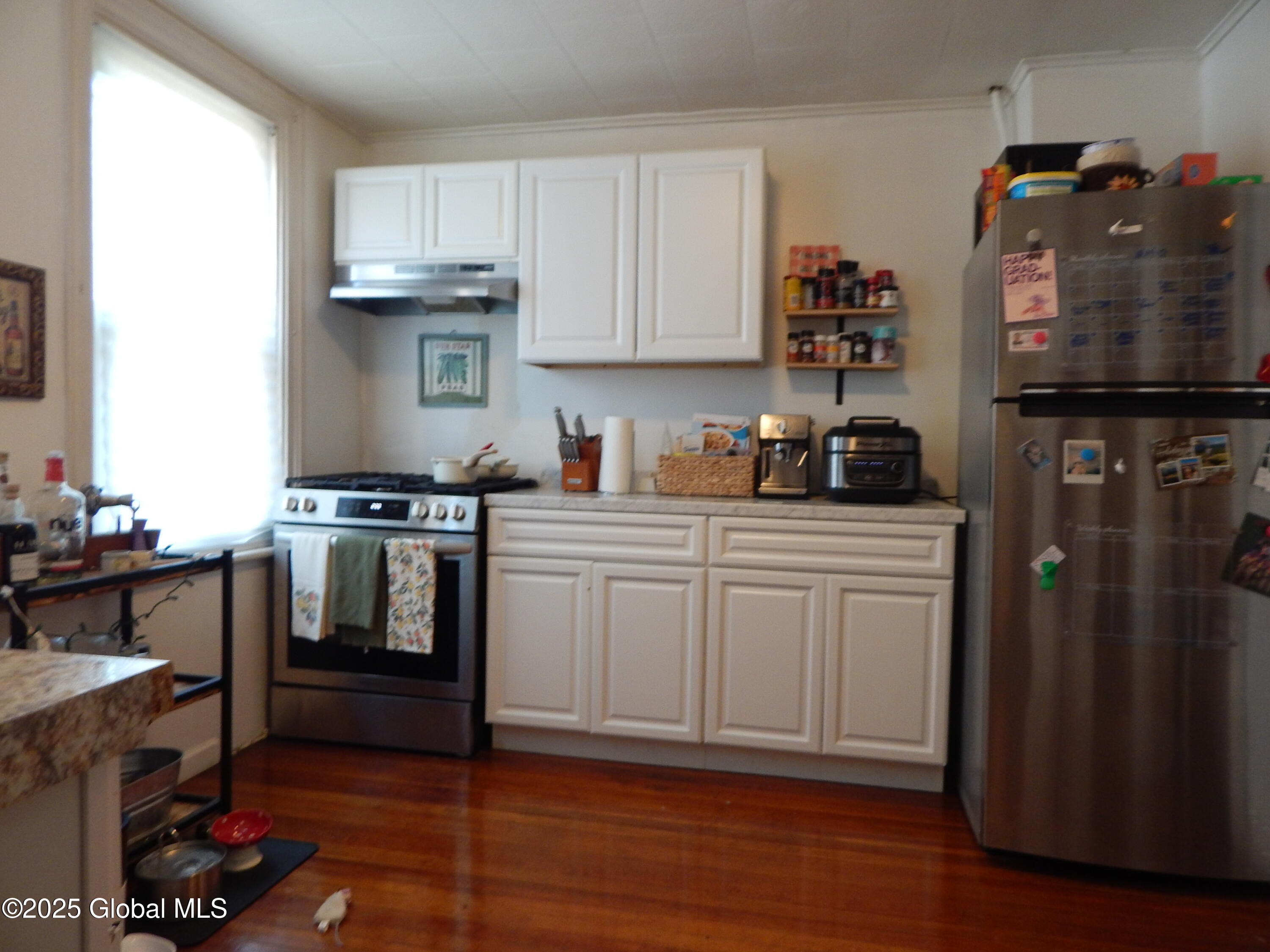 152 Dove Street Albany NY 12202