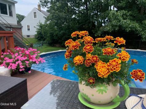 119 Sand Creek Road Albany NY 12205