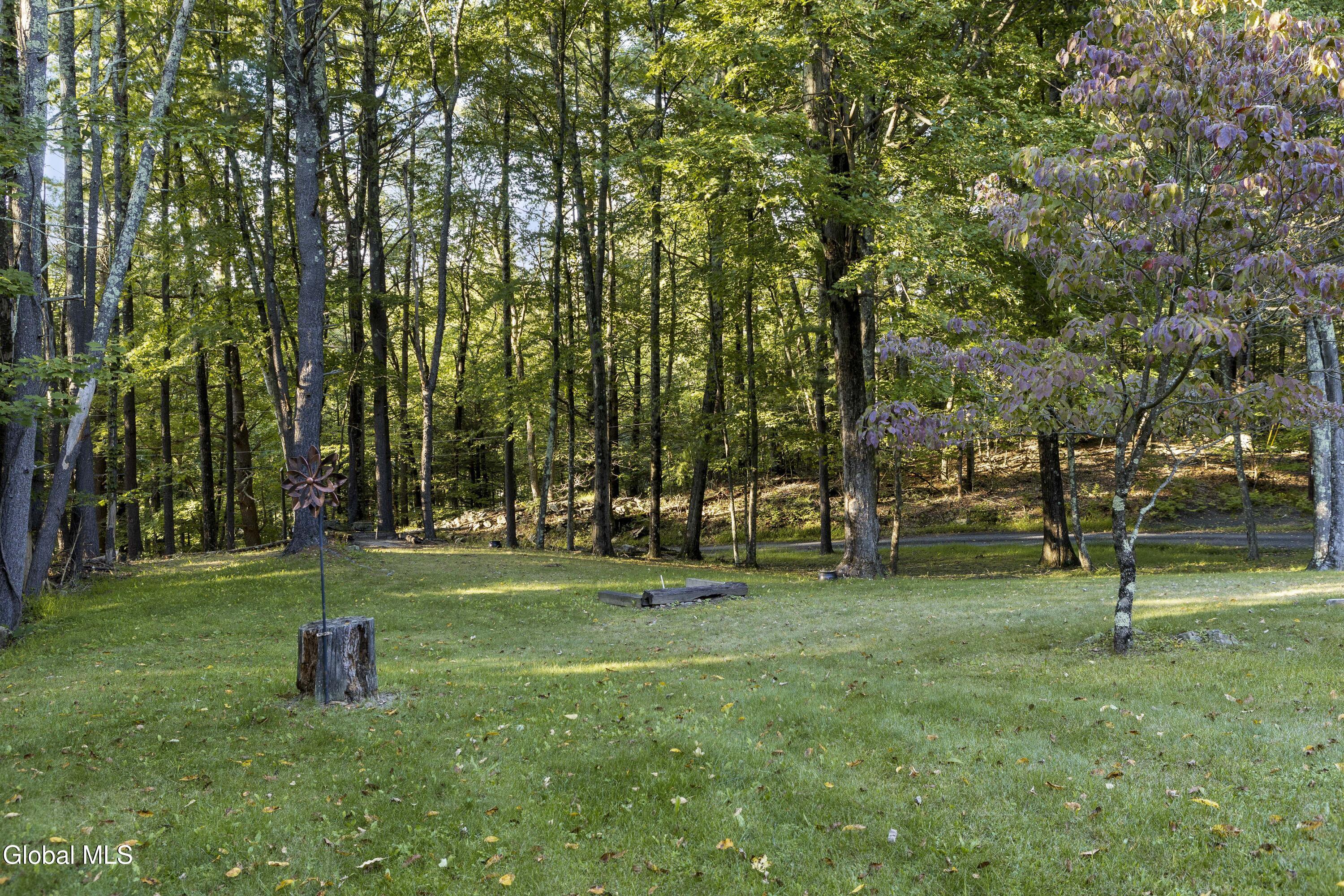 39 Jesse Ann Circle Earlton NY 12058