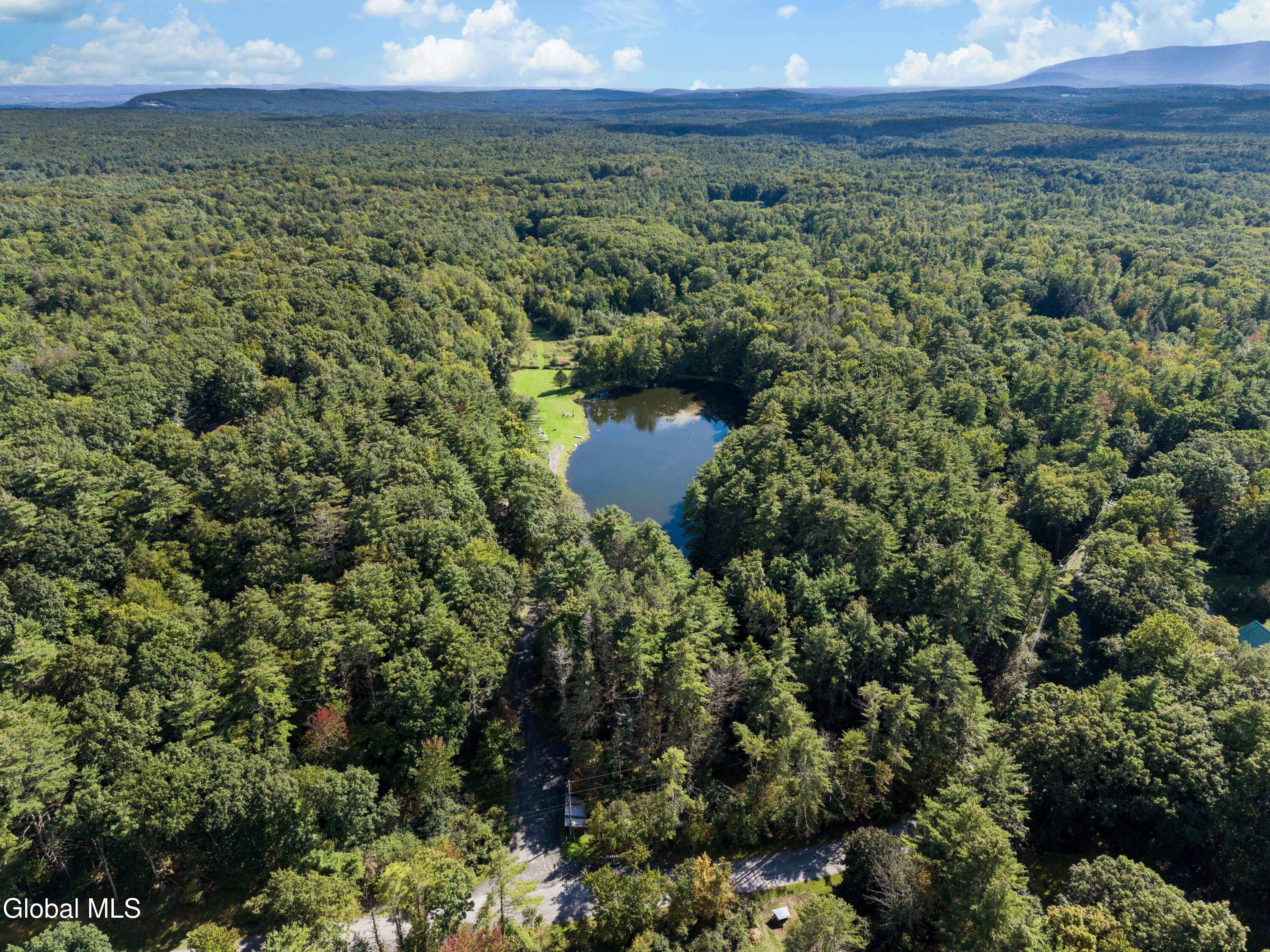 39 Jesse Ann Circle Earlton NY 12058