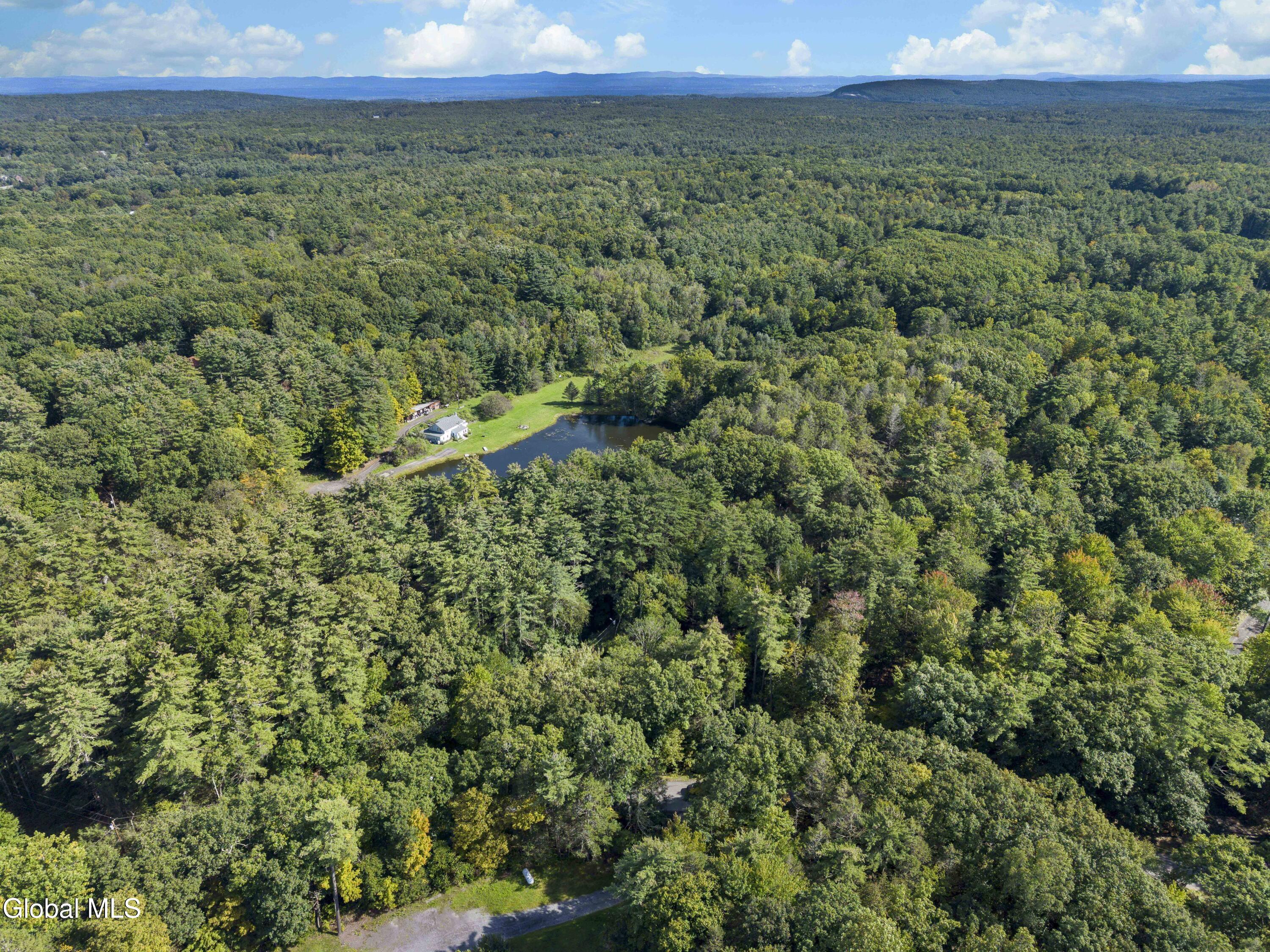39 Jesse Ann Circle Earlton NY 12058
