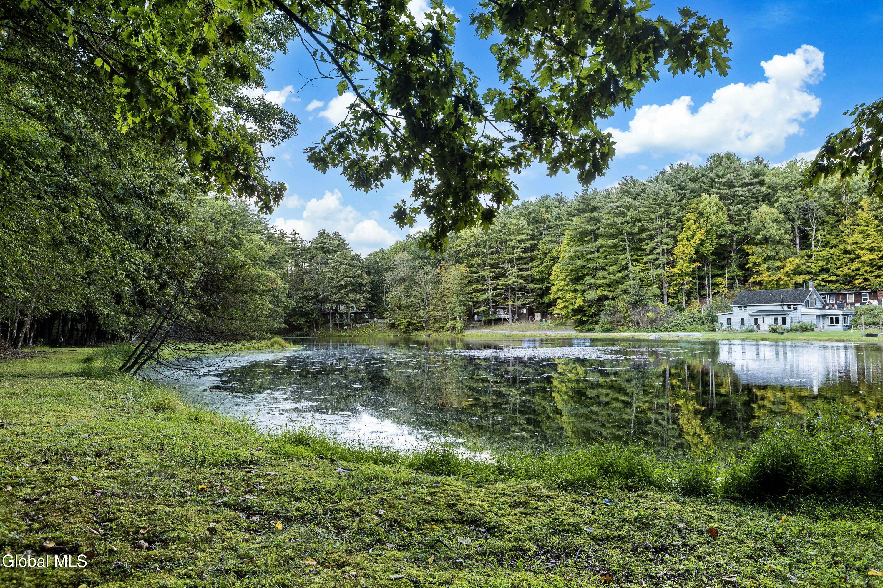 39 Jesse Ann Circle Earlton NY 12058