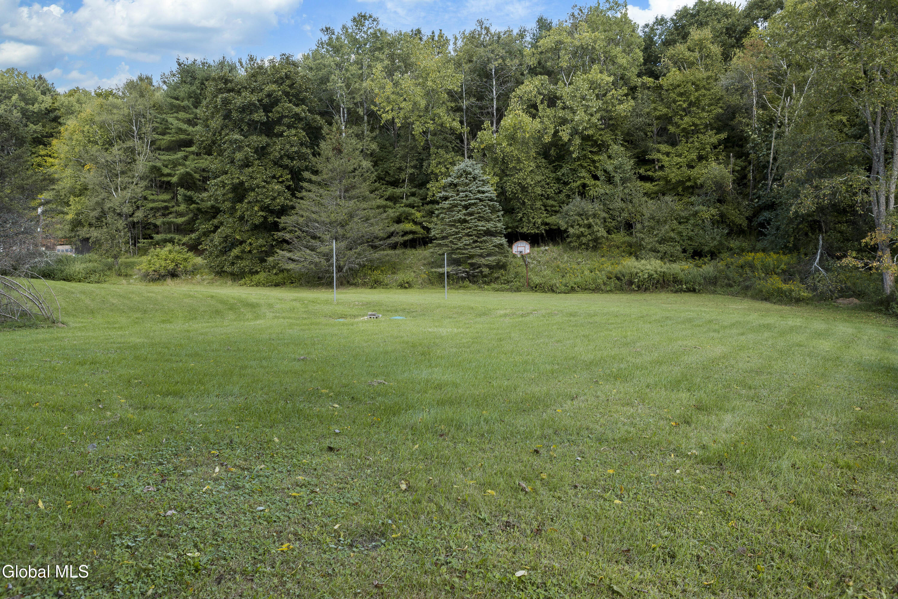 39 Jesse Ann Circle Earlton NY 12058