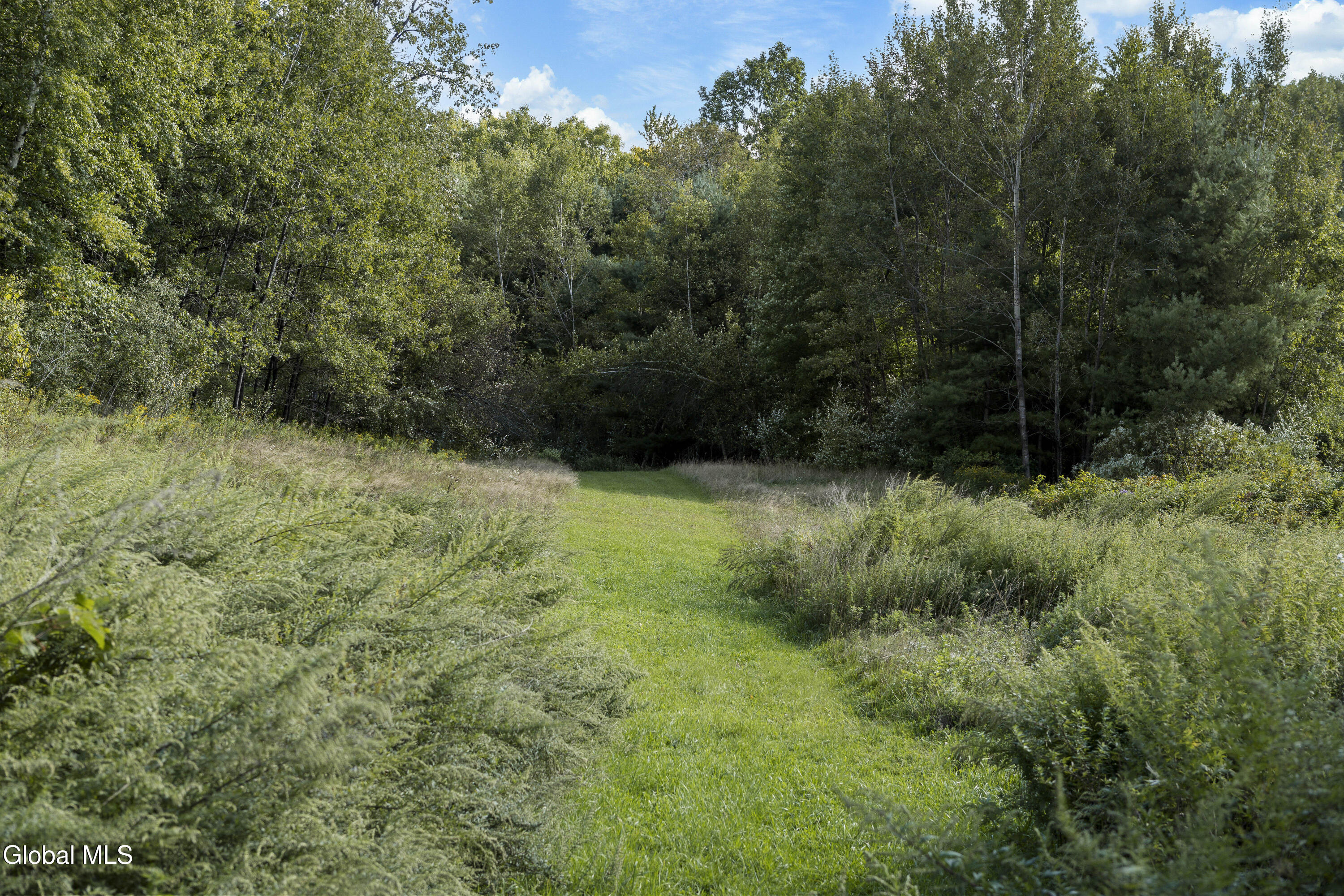 39 Jesse Ann Circle Earlton NY 12058