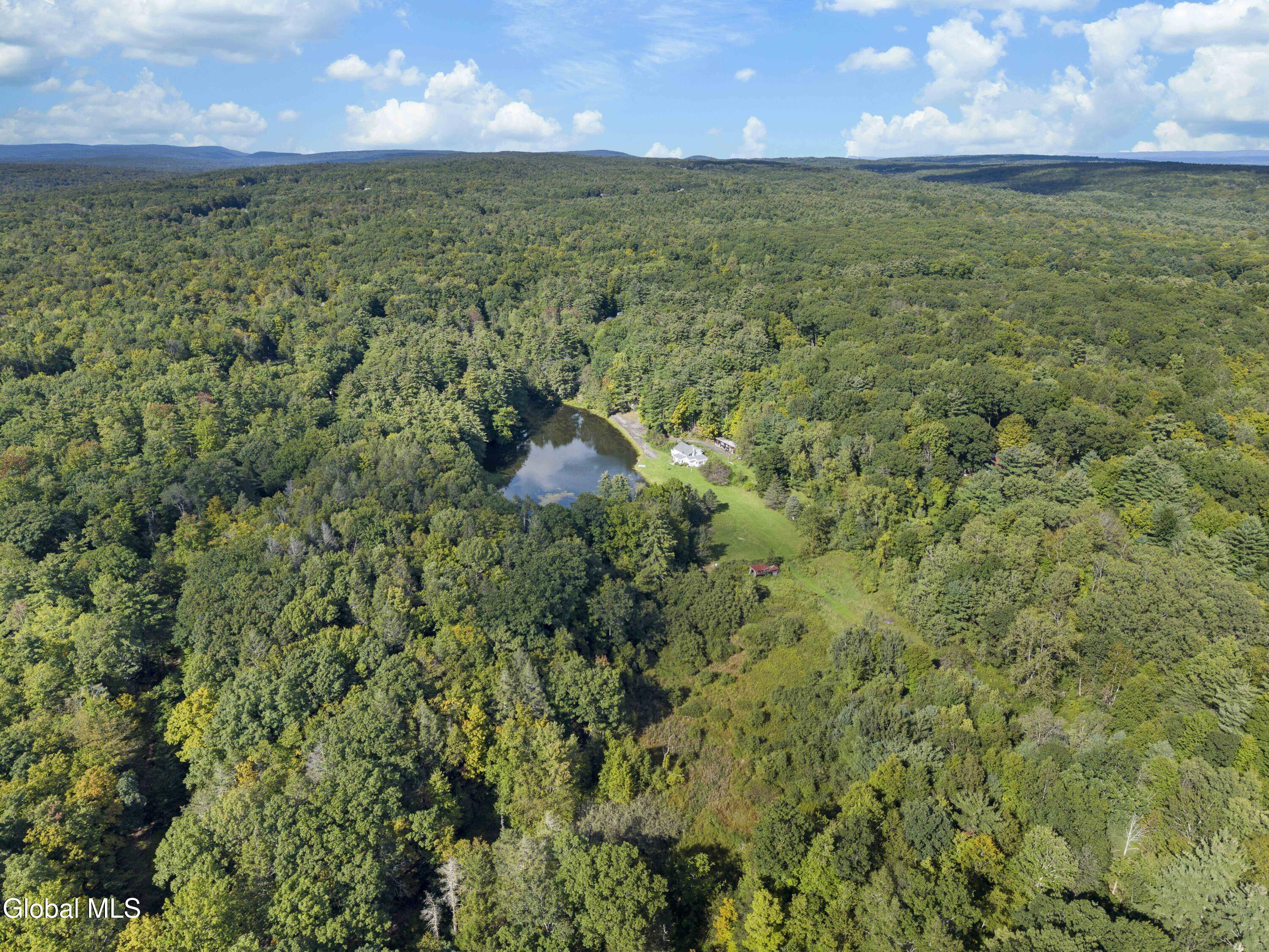 39 Jesse Ann Circle Earlton NY 12058