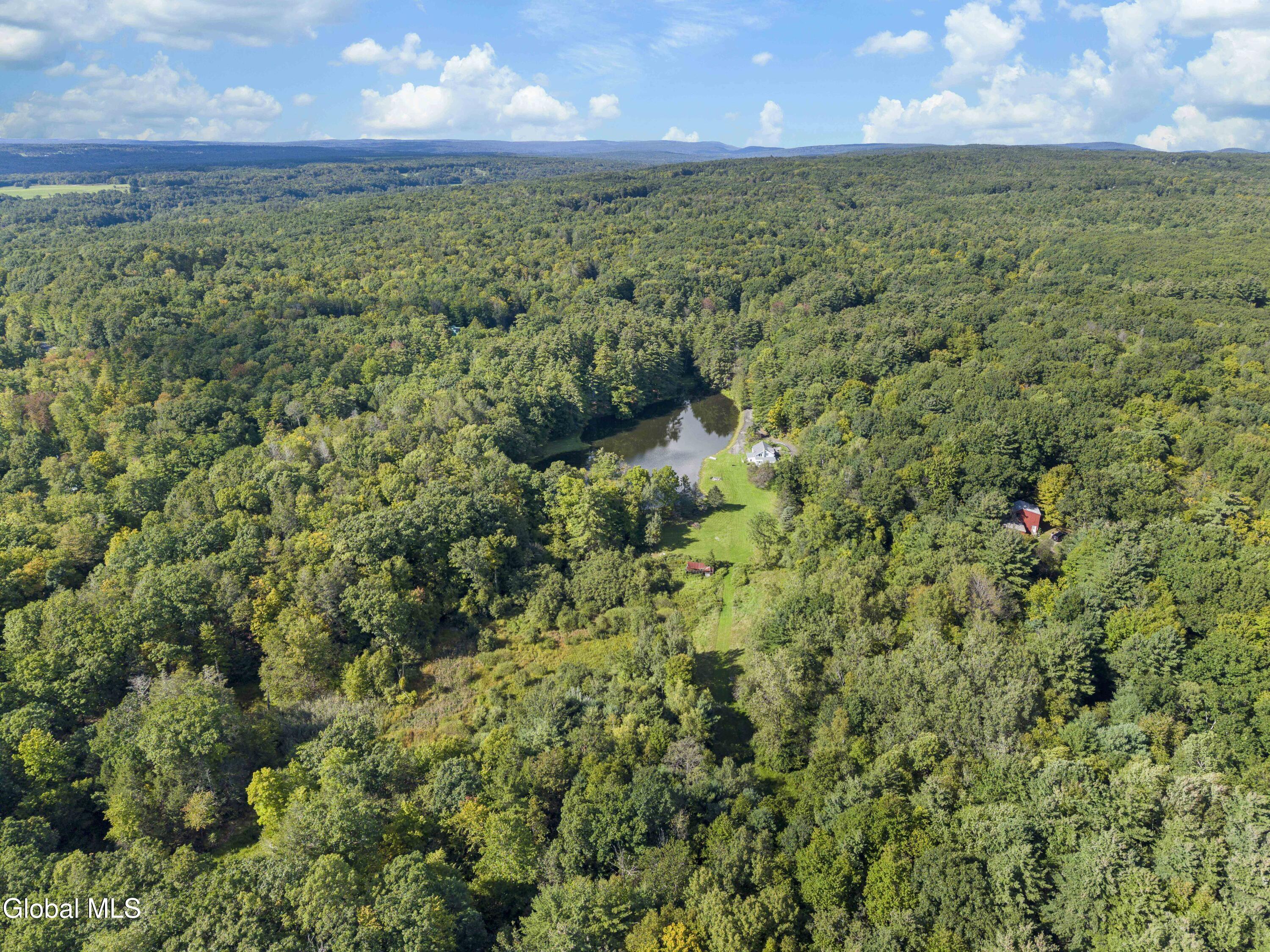 39 Jesse Ann Circle Earlton NY 12058