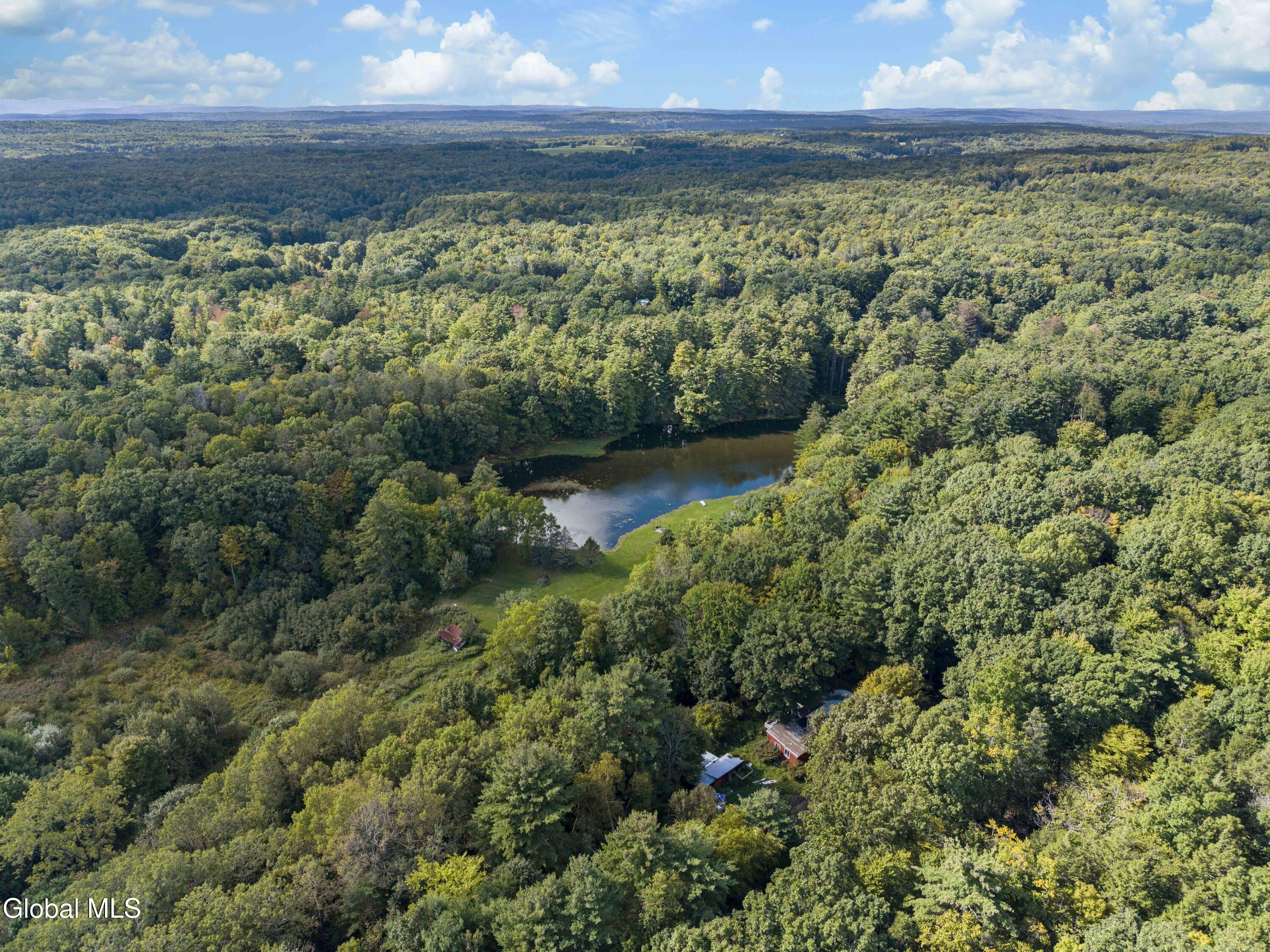 39 Jesse Ann Circle Earlton NY 12058