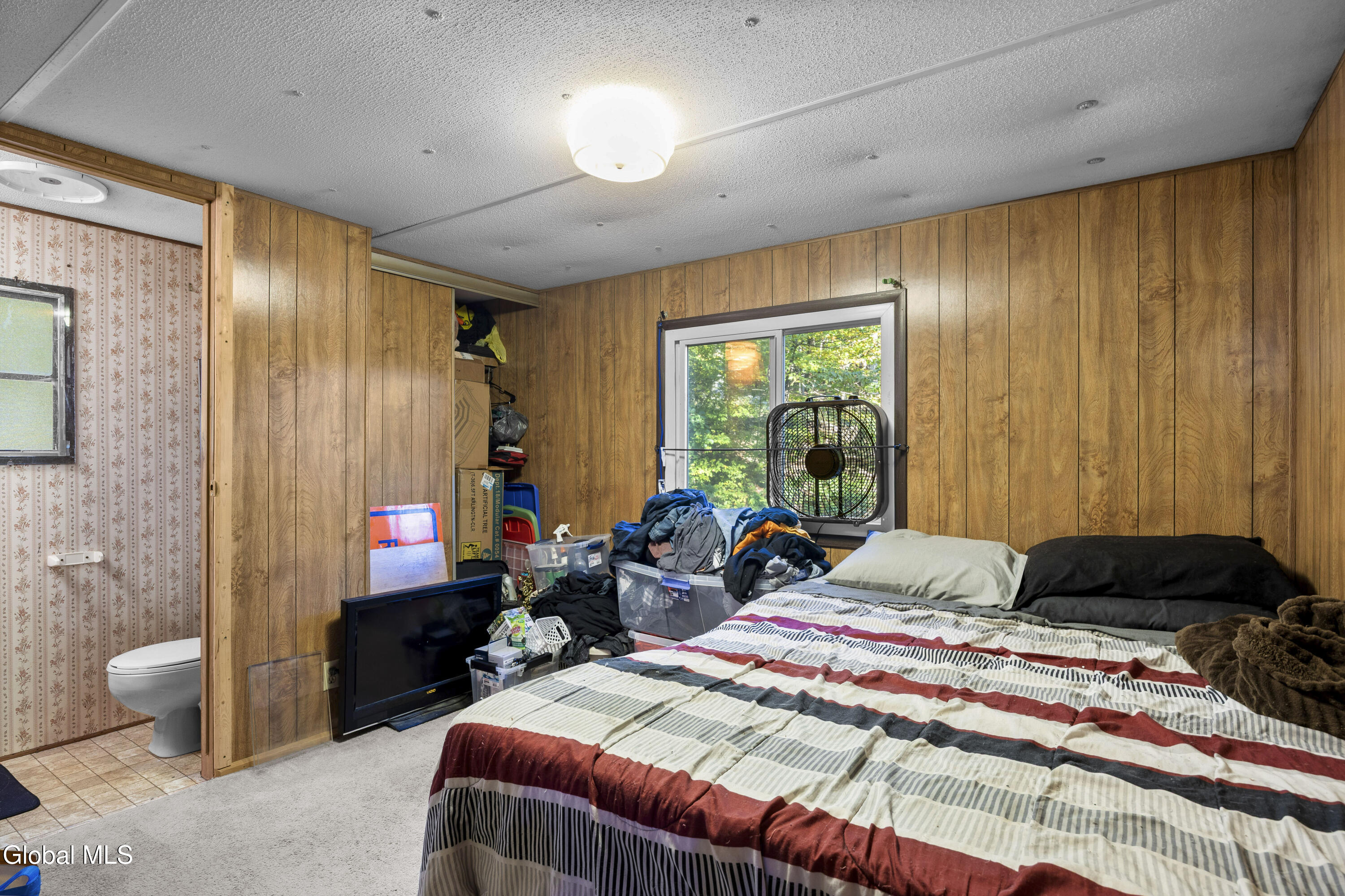 39 Jesse Ann Circle Earlton NY 12058