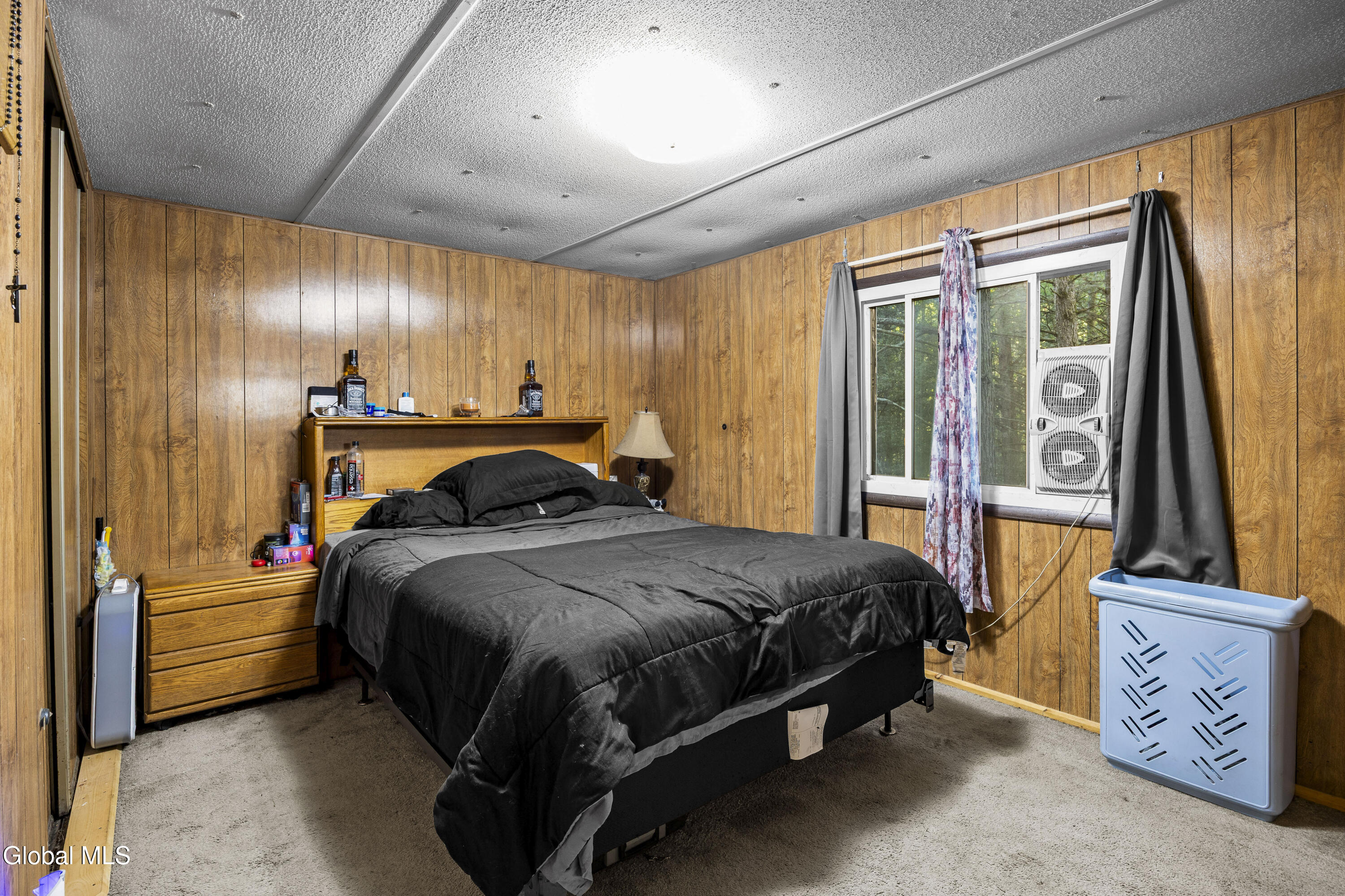 39 Jesse Ann Circle Earlton NY 12058