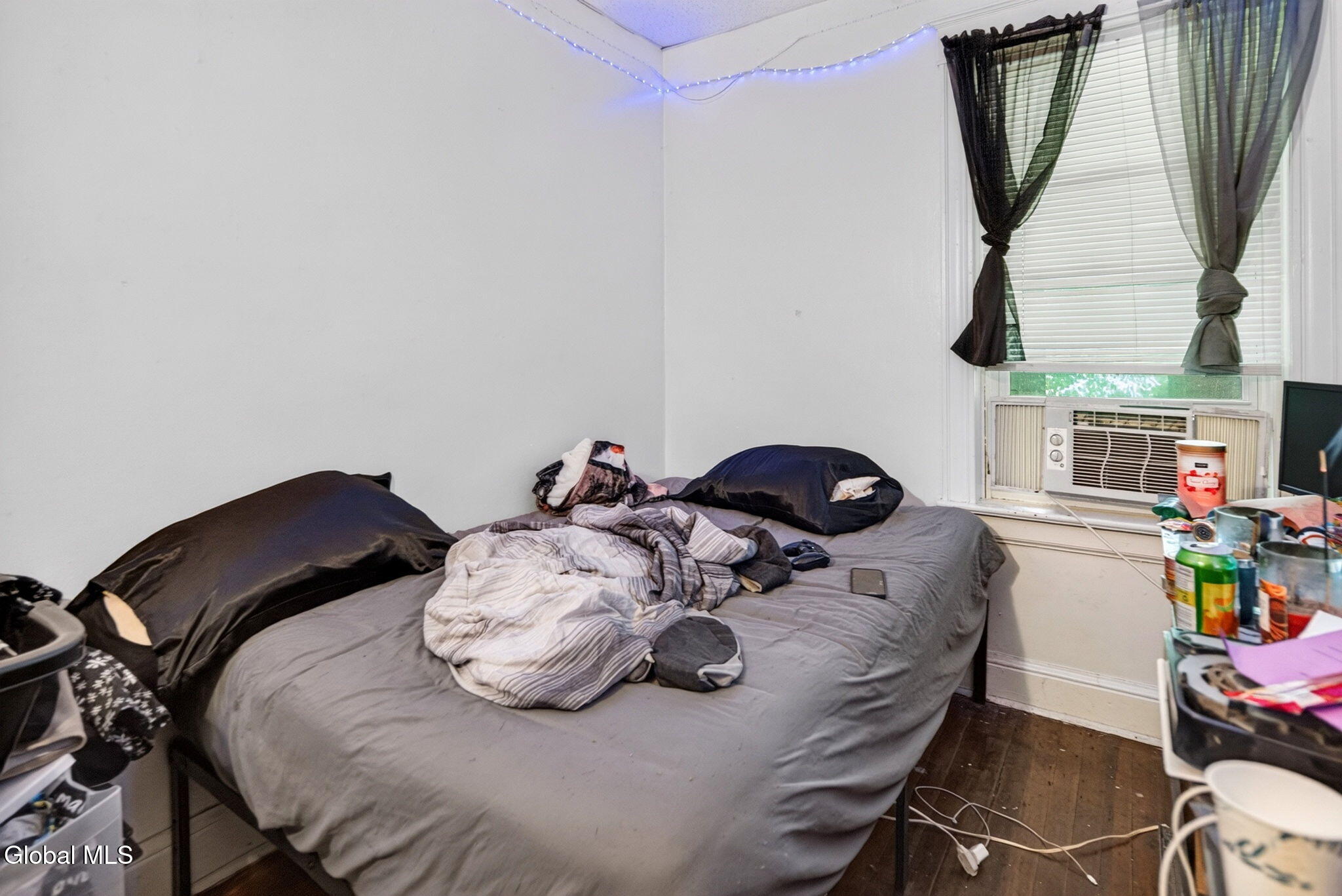 29 Bertha Street Albany NY 12209