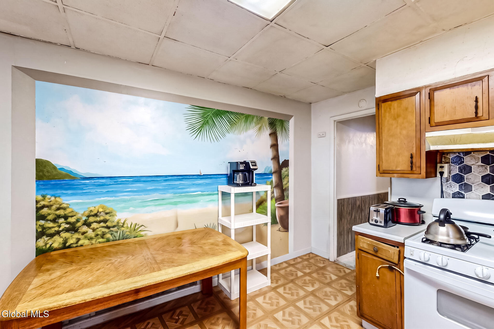 167 N Allen Street Albany NY 12206