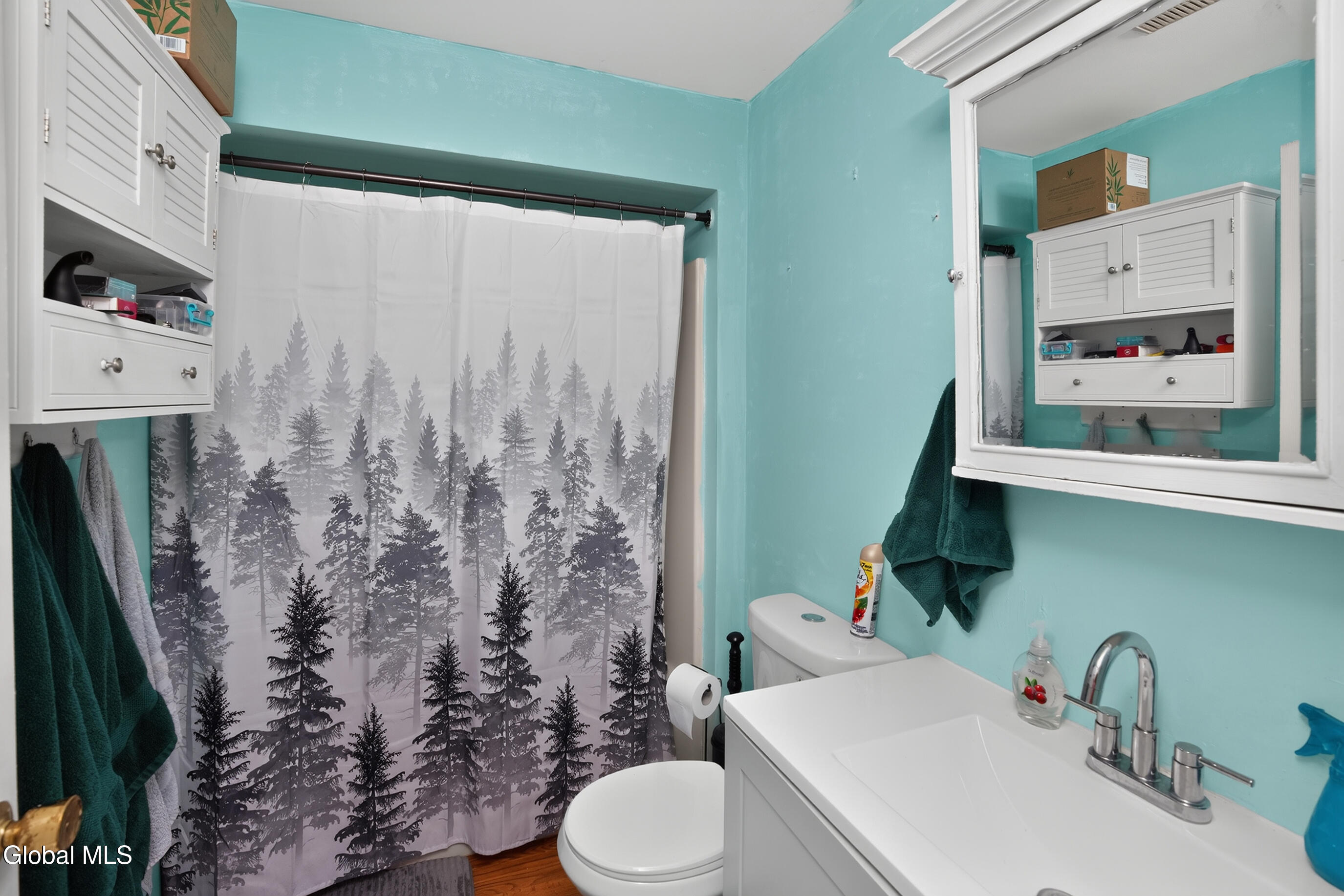 17 Frank Street Schenectady NY 12304