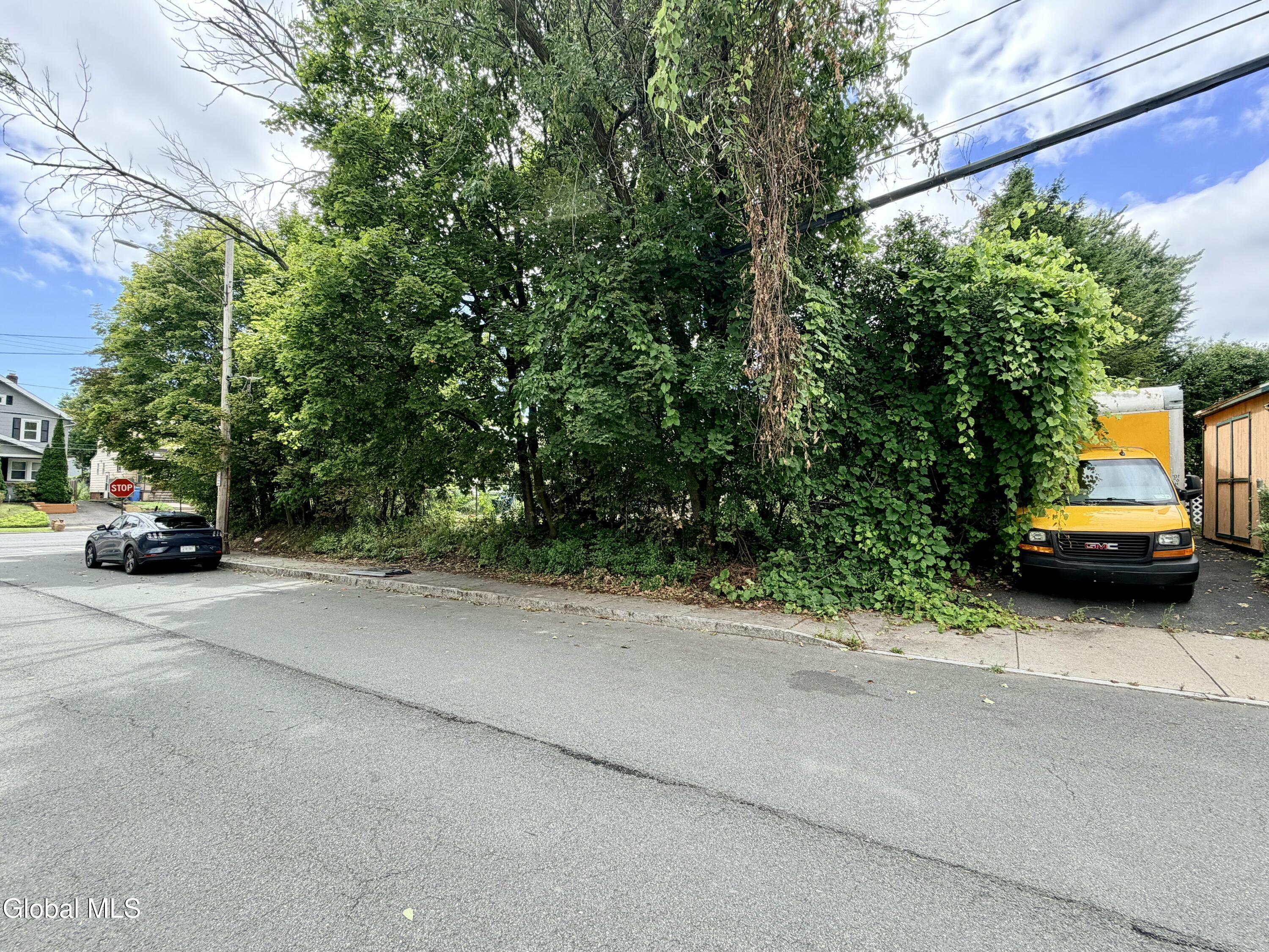 319 Mccarty Avenue Albany NY 12209
