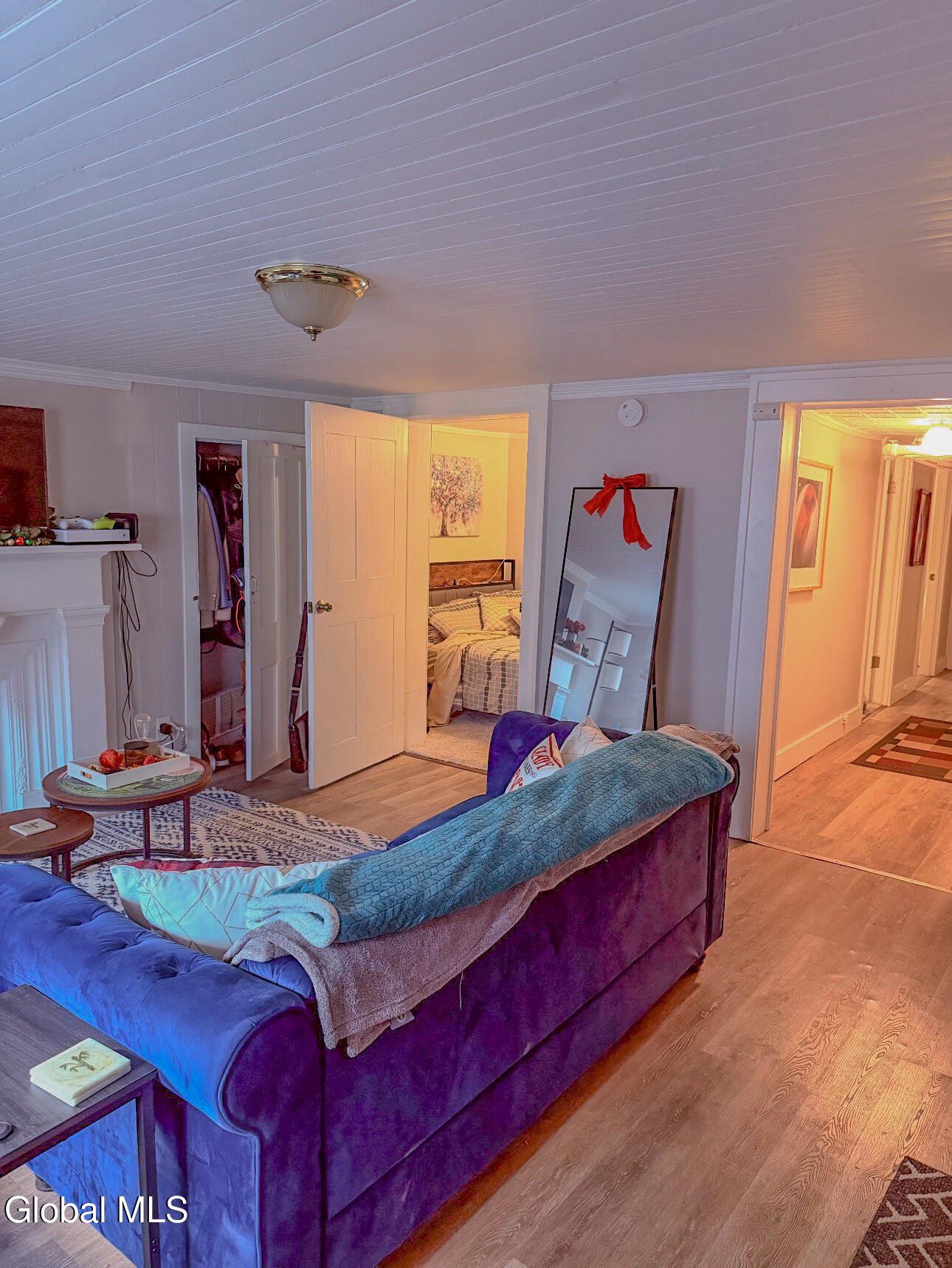 29 Dove Street Albany NY 12210