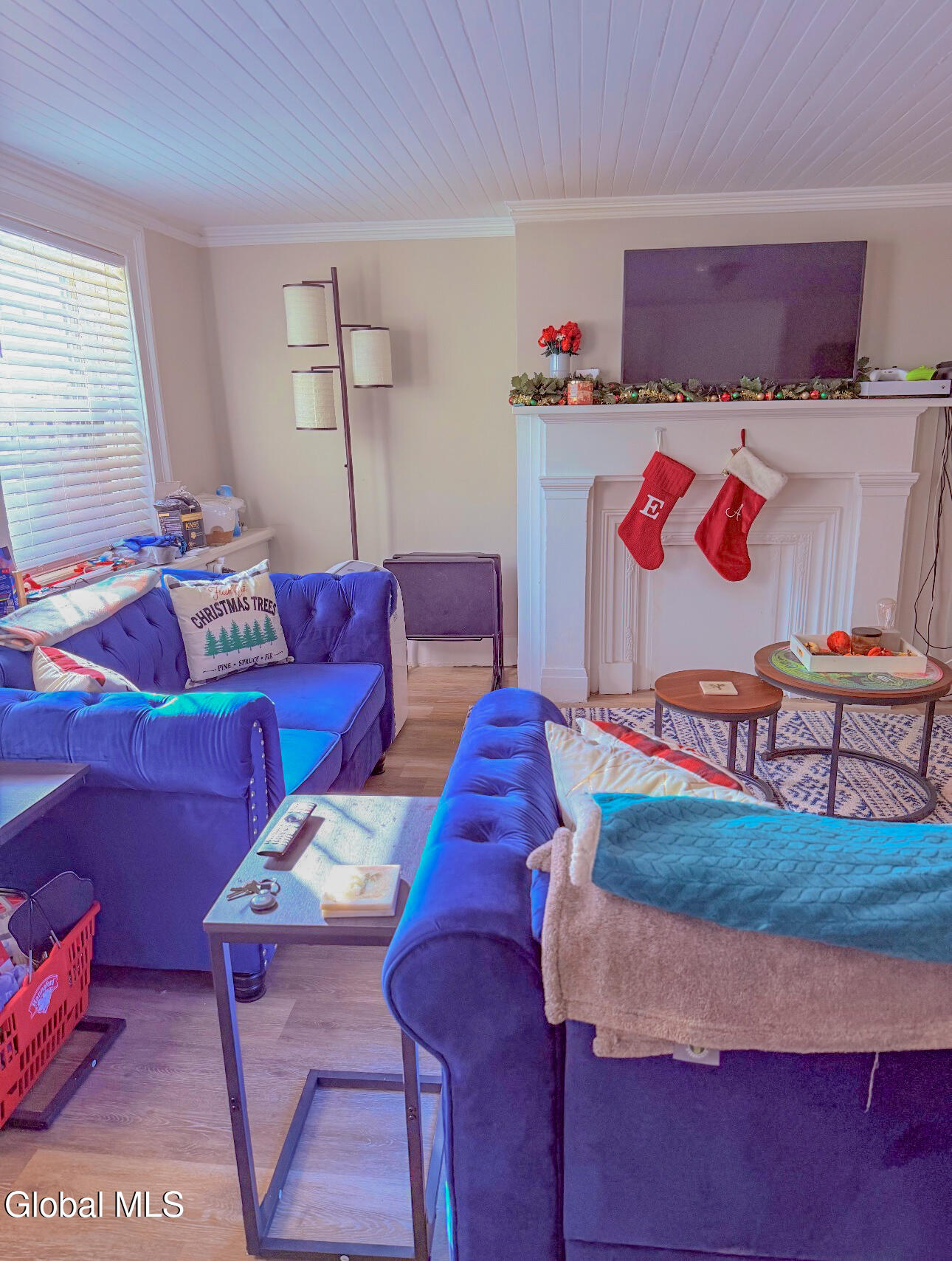 29 Dove Street Albany NY 12210