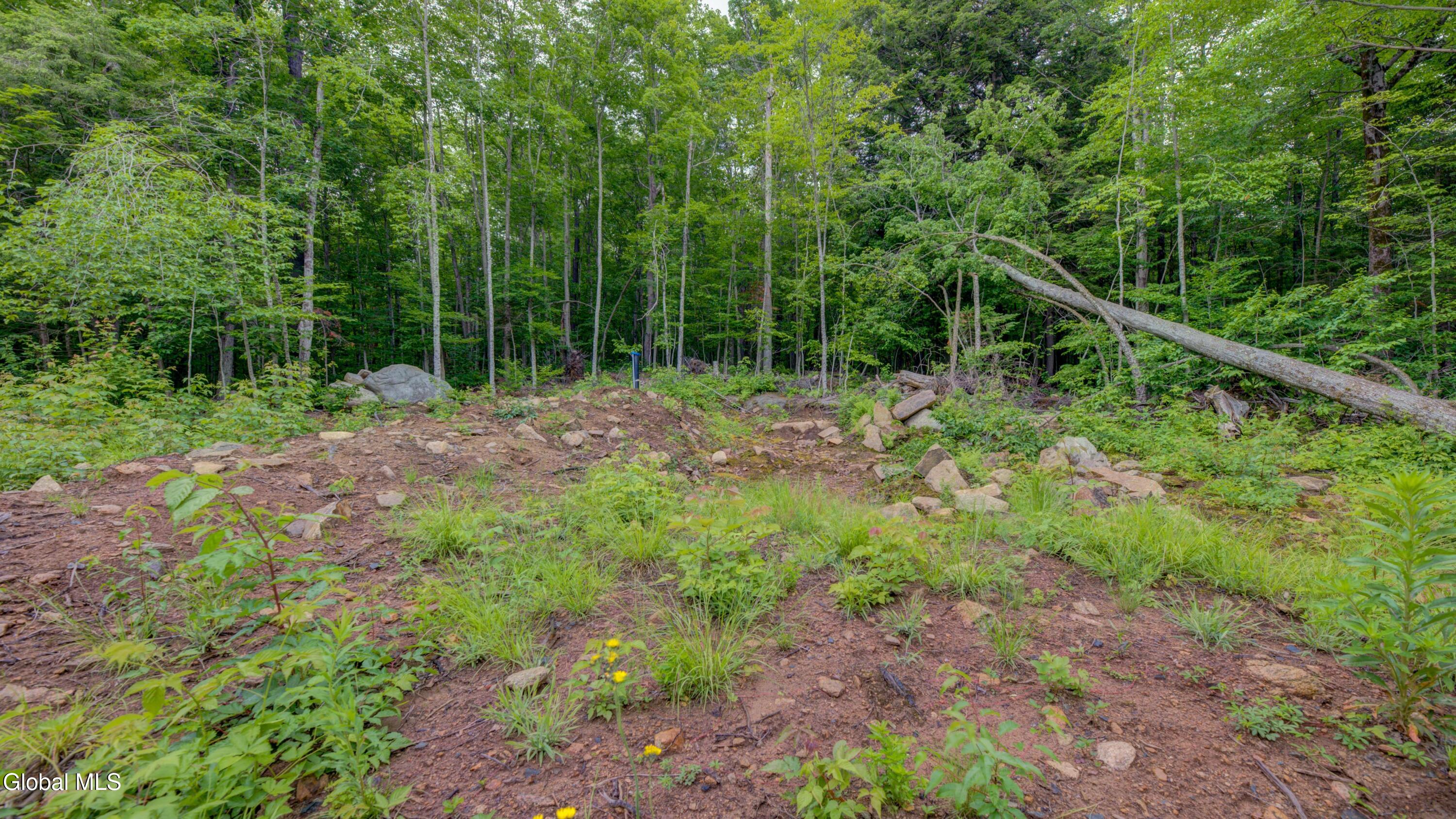 610 S Shore Road Speculator NY 12164