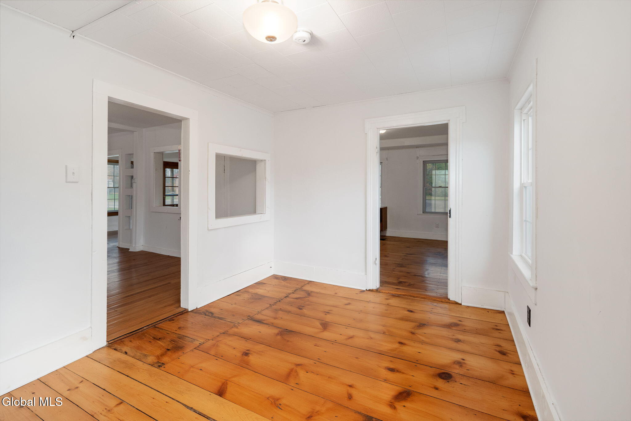 1289 990v Conesville NY 12076