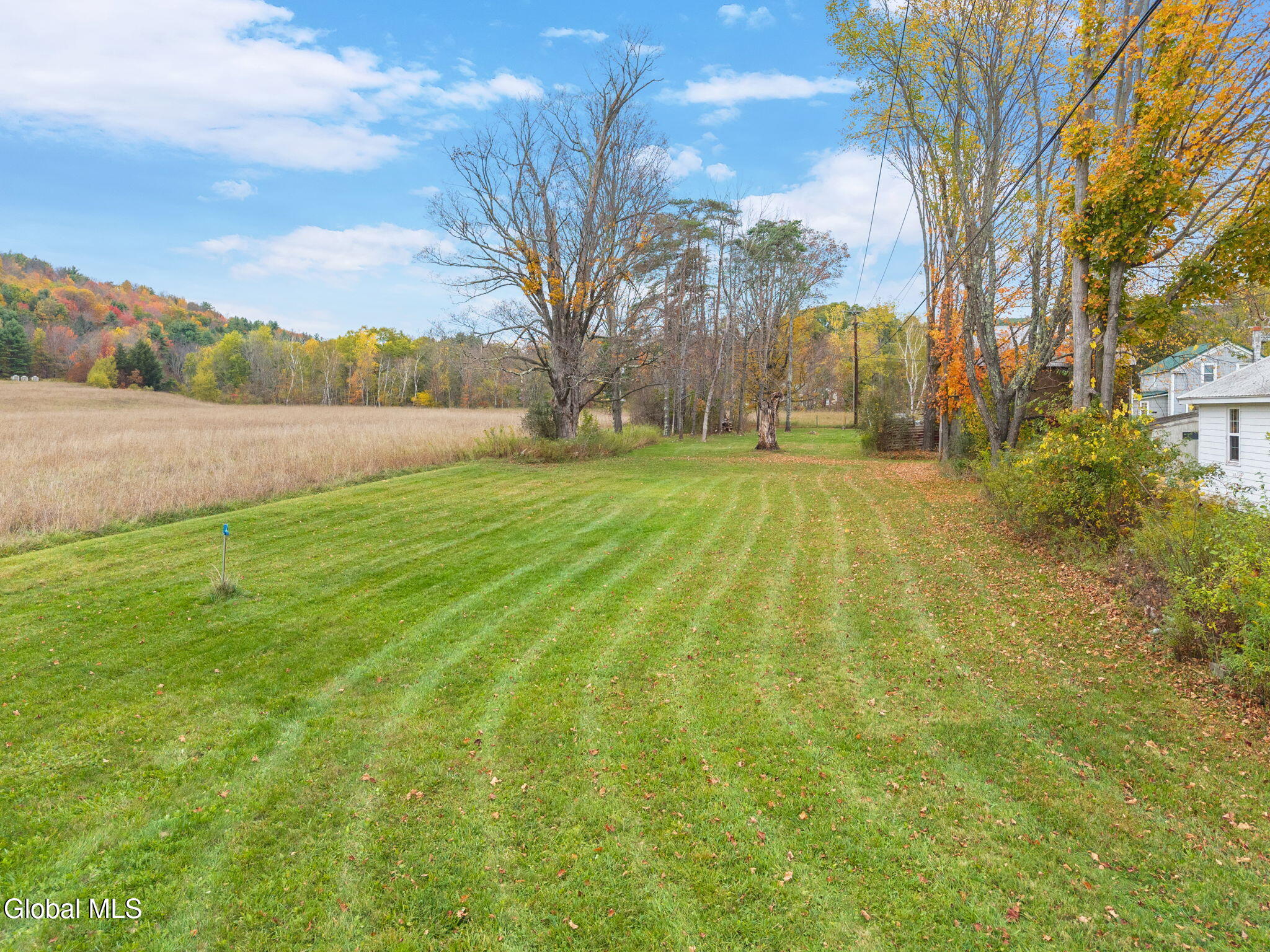 1289 990v Conesville NY 12076