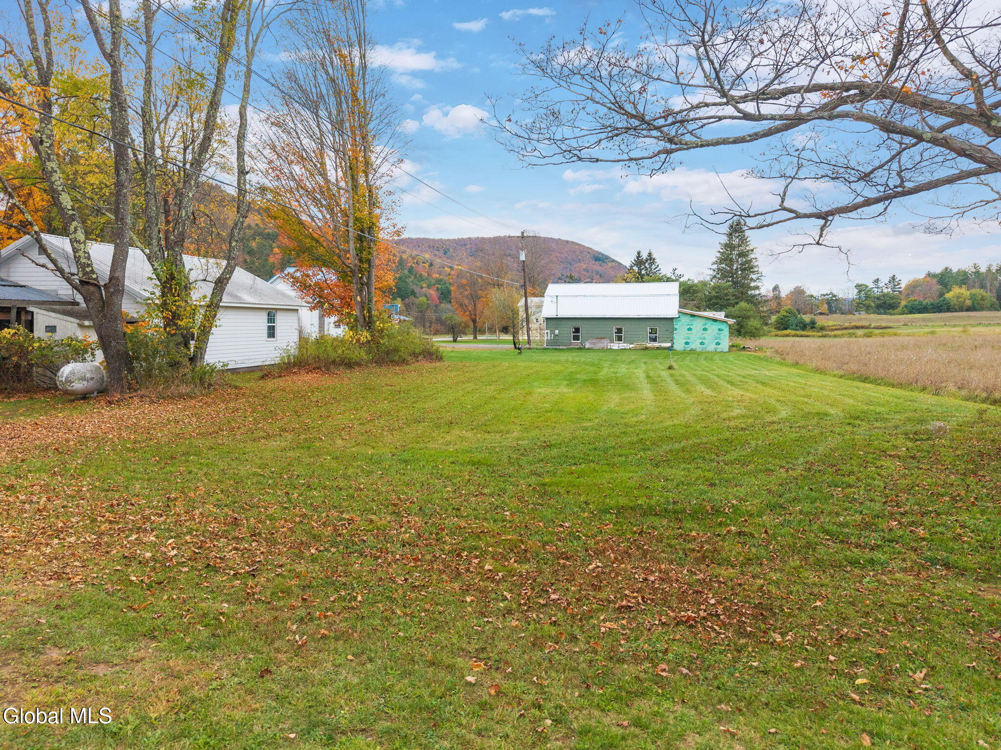 1289 990v Conesville NY 12076