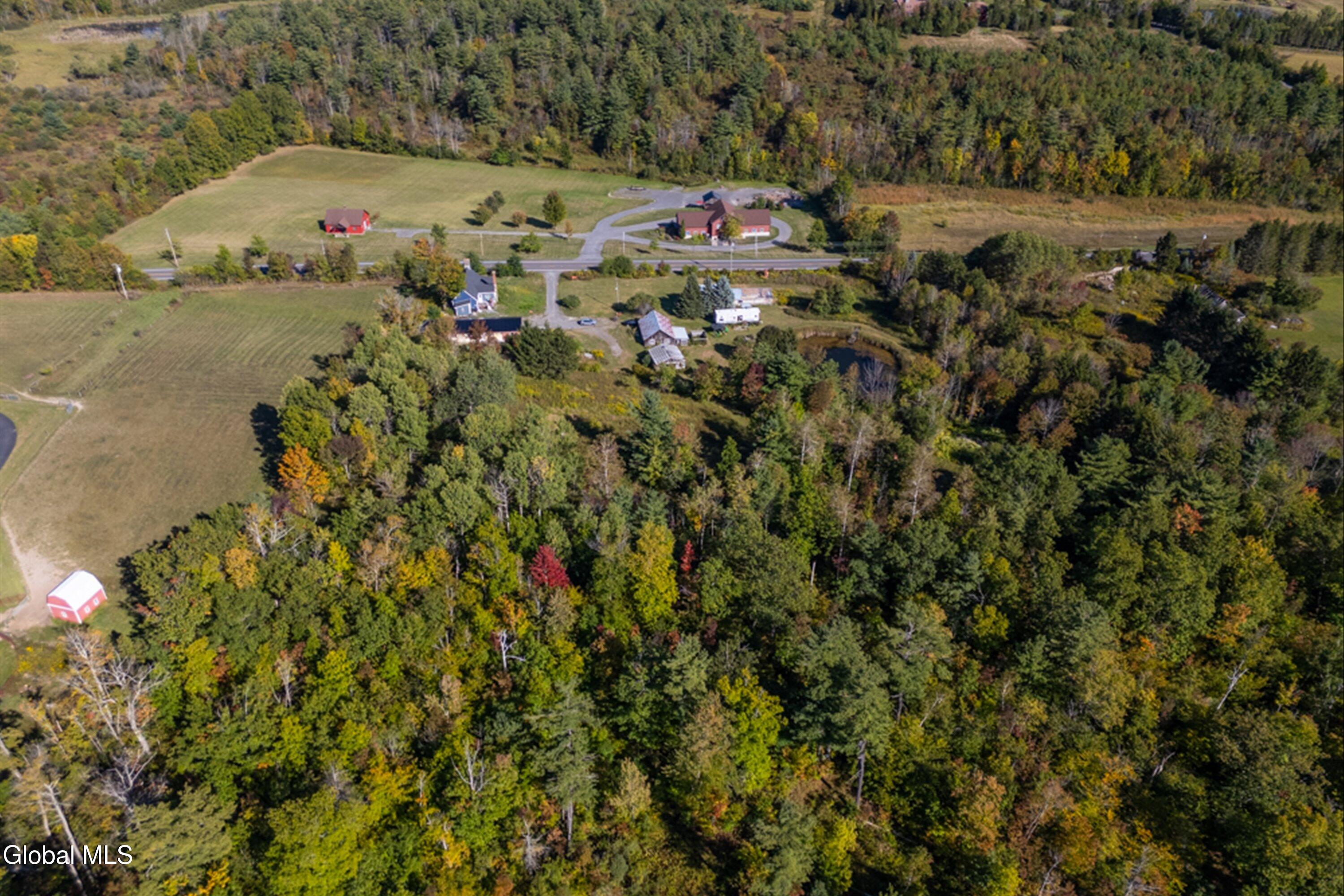2 Harold Drive Altamont NY 12009