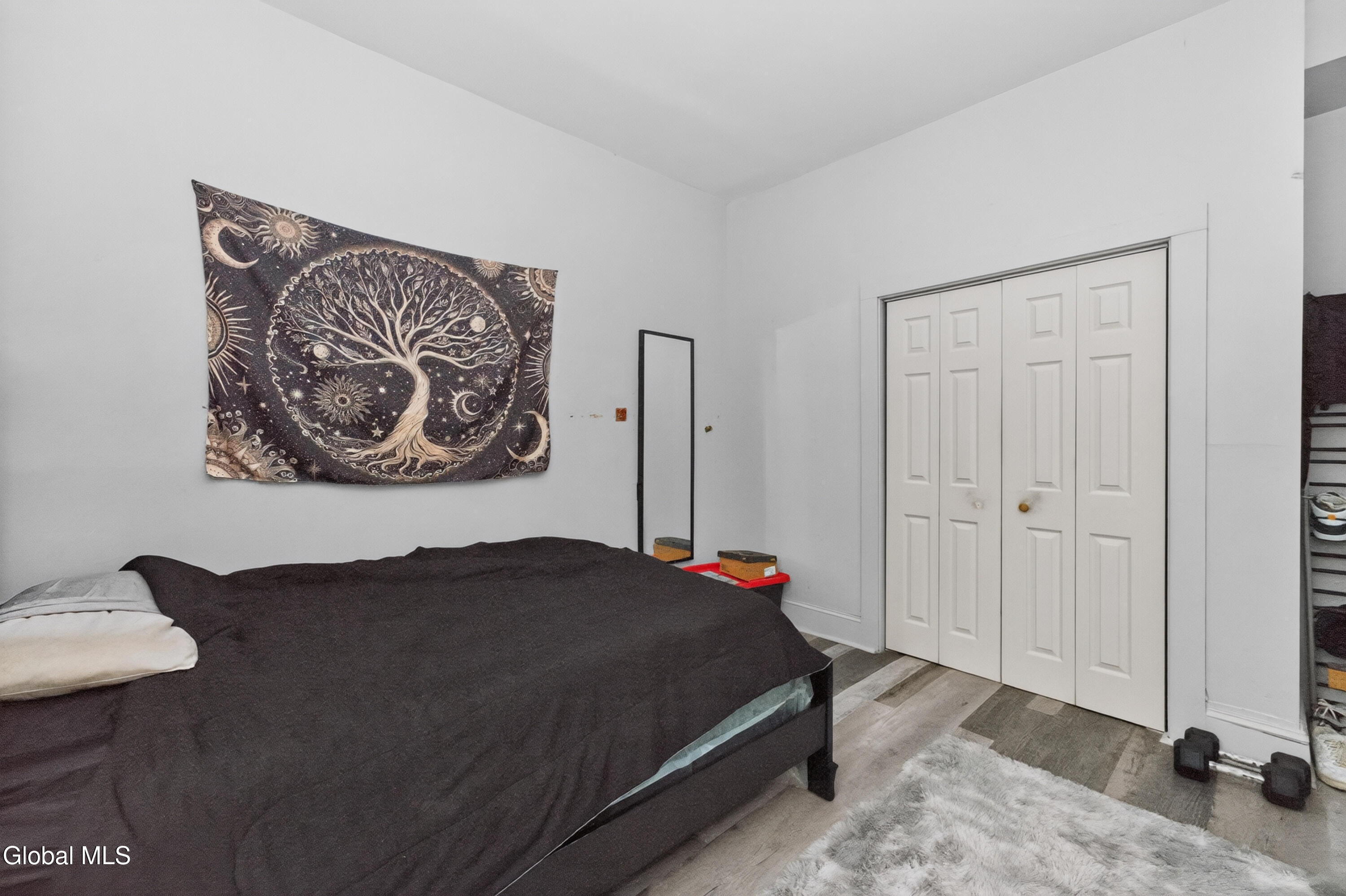 117 4th Avenue Albany NY 12202