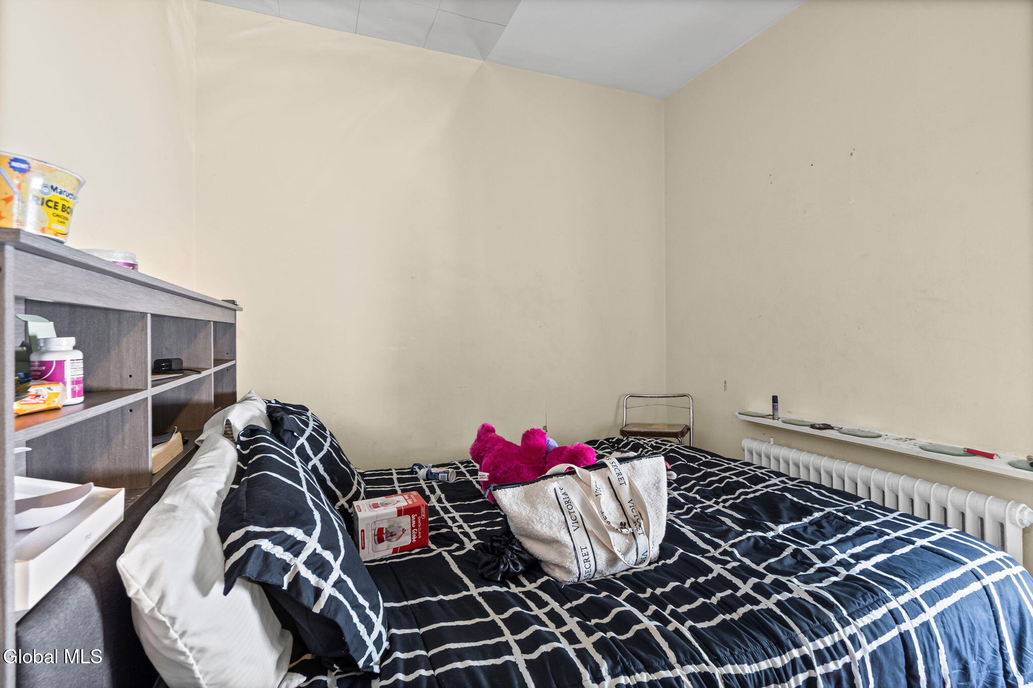 496 Delaware Avenue Albany NY 12209