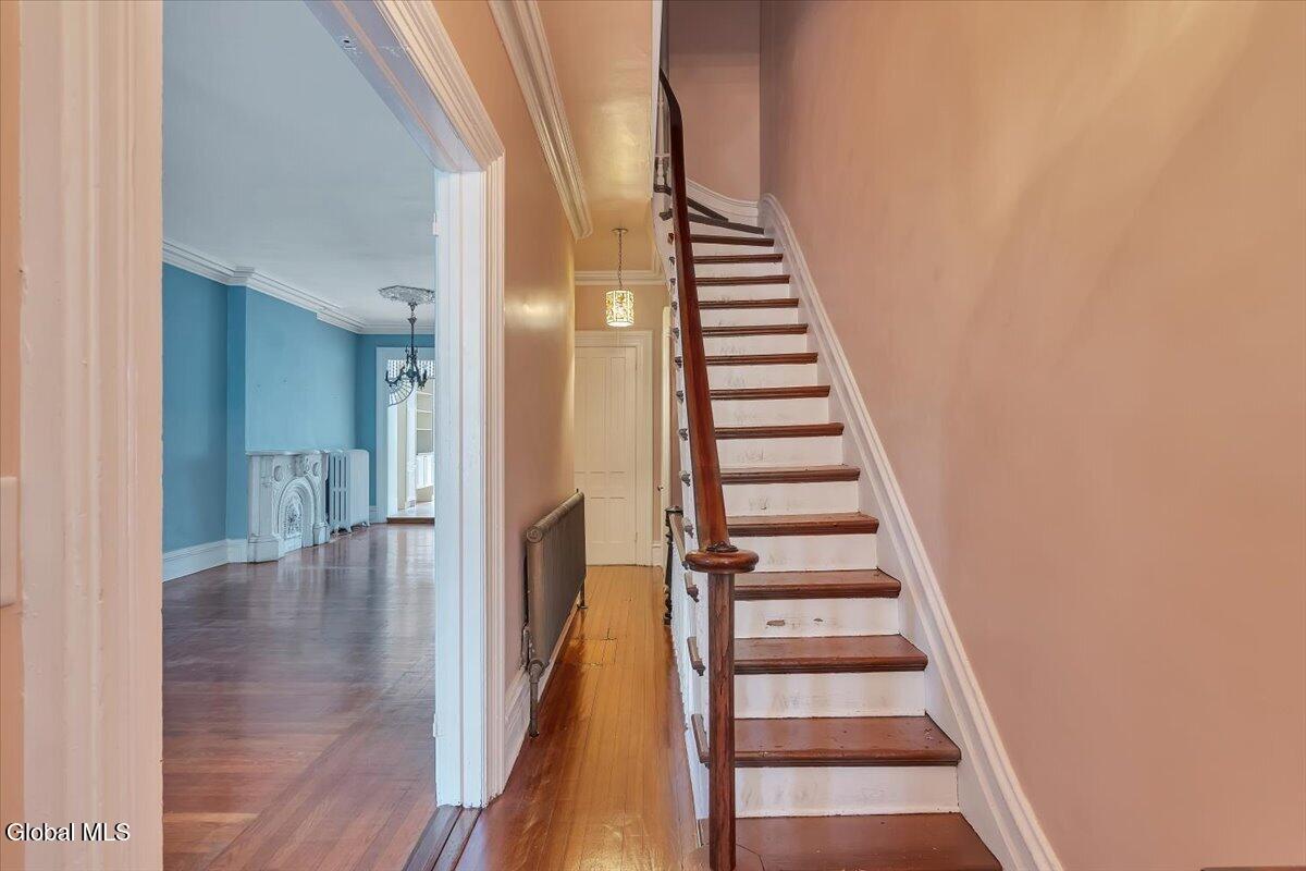 396 Hamilton Street Albany NY 12210