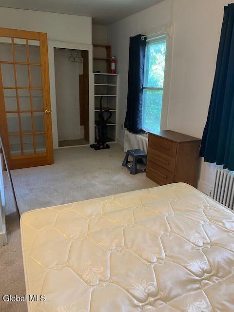46 Christie Street Troy NY 12180