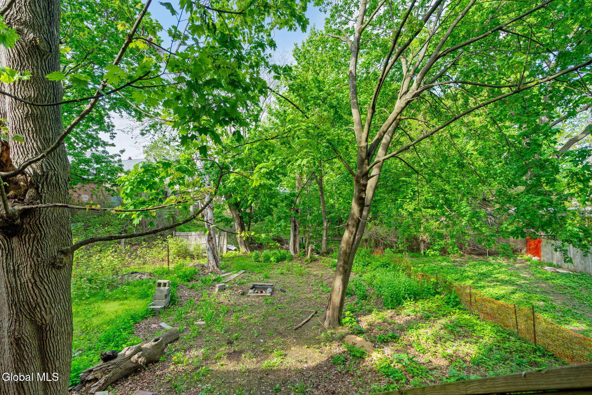 257 Western Avenue Albany NY 12203