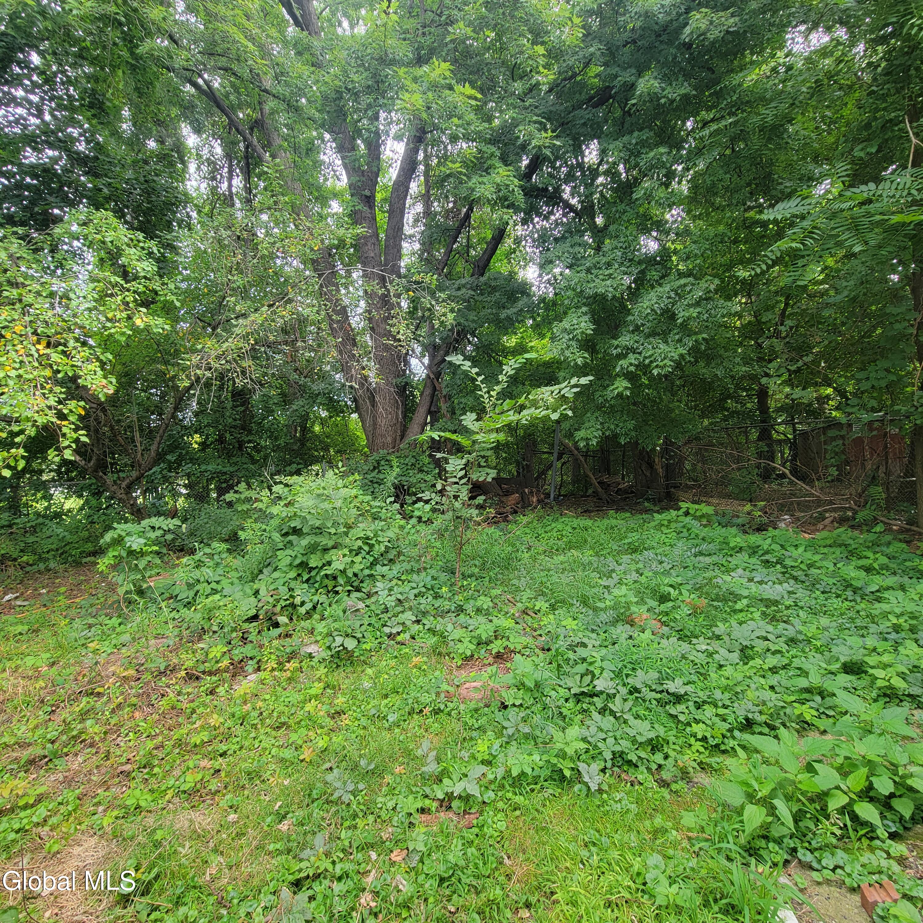 239 Colonie Street Albany NY 12210