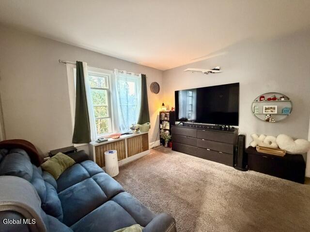 16 Mapleridge Avenue Albany NY 12209