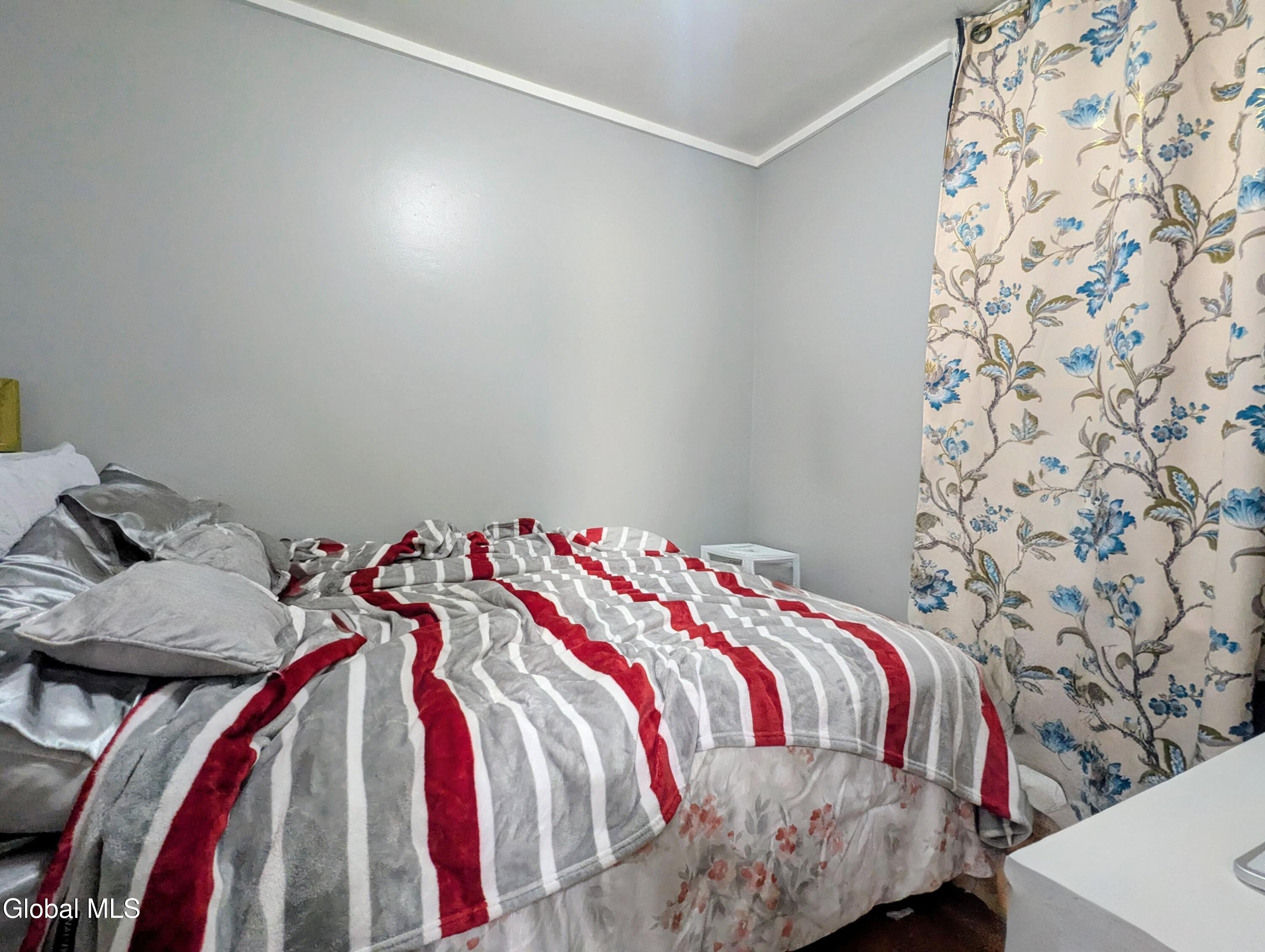 157 Myrtle Avenue Albany NY 12202