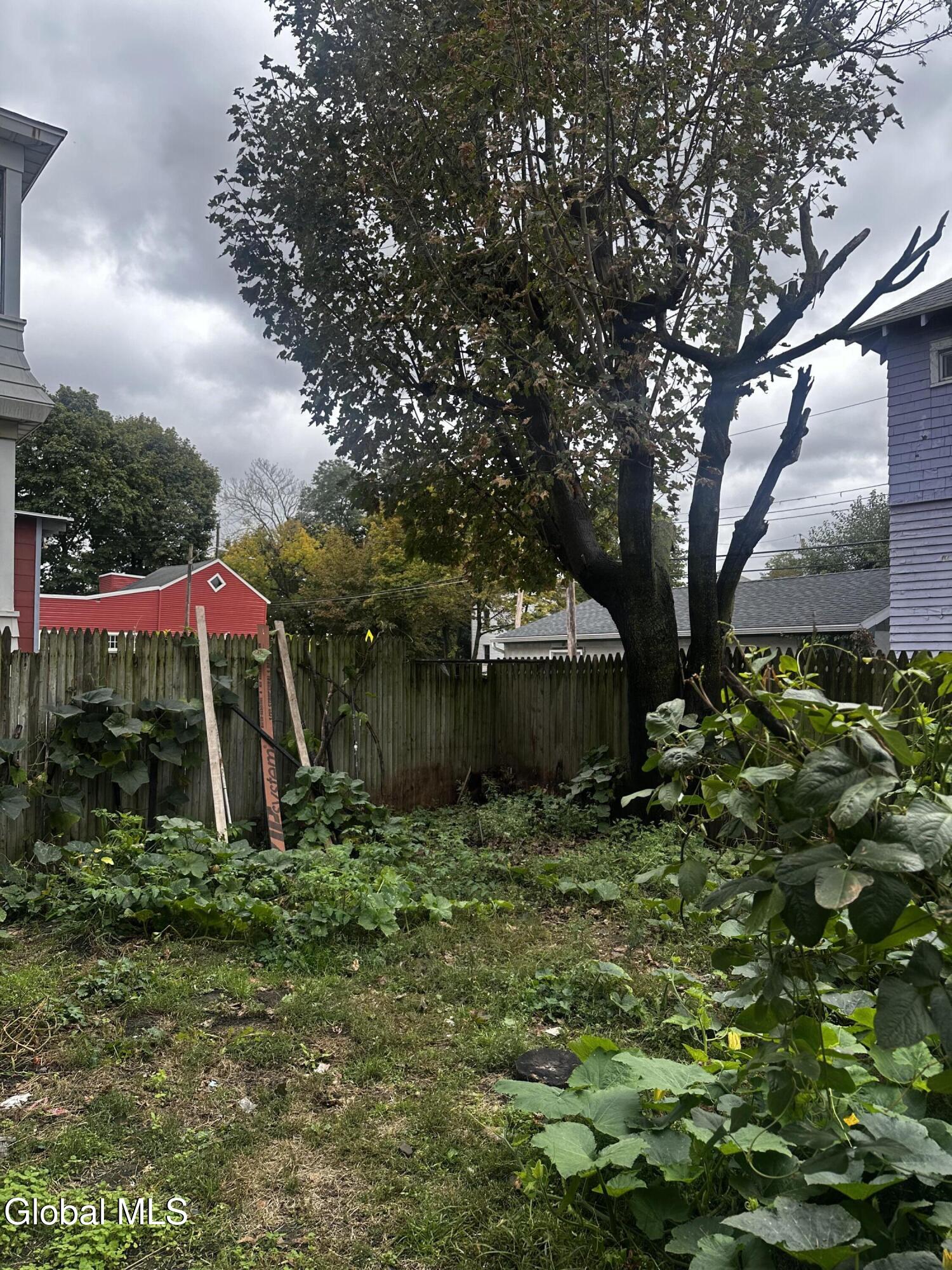 274 Morton Avenue Albany NY 12209