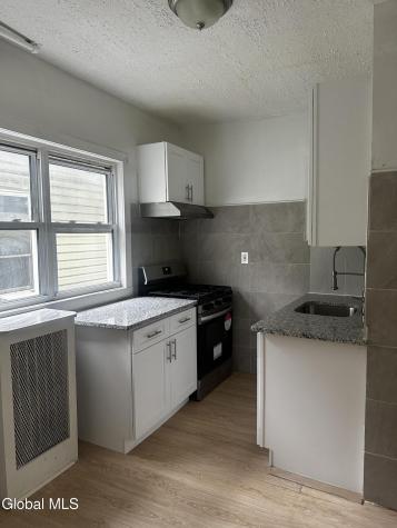 274 Morton Avenue Albany NY 12209