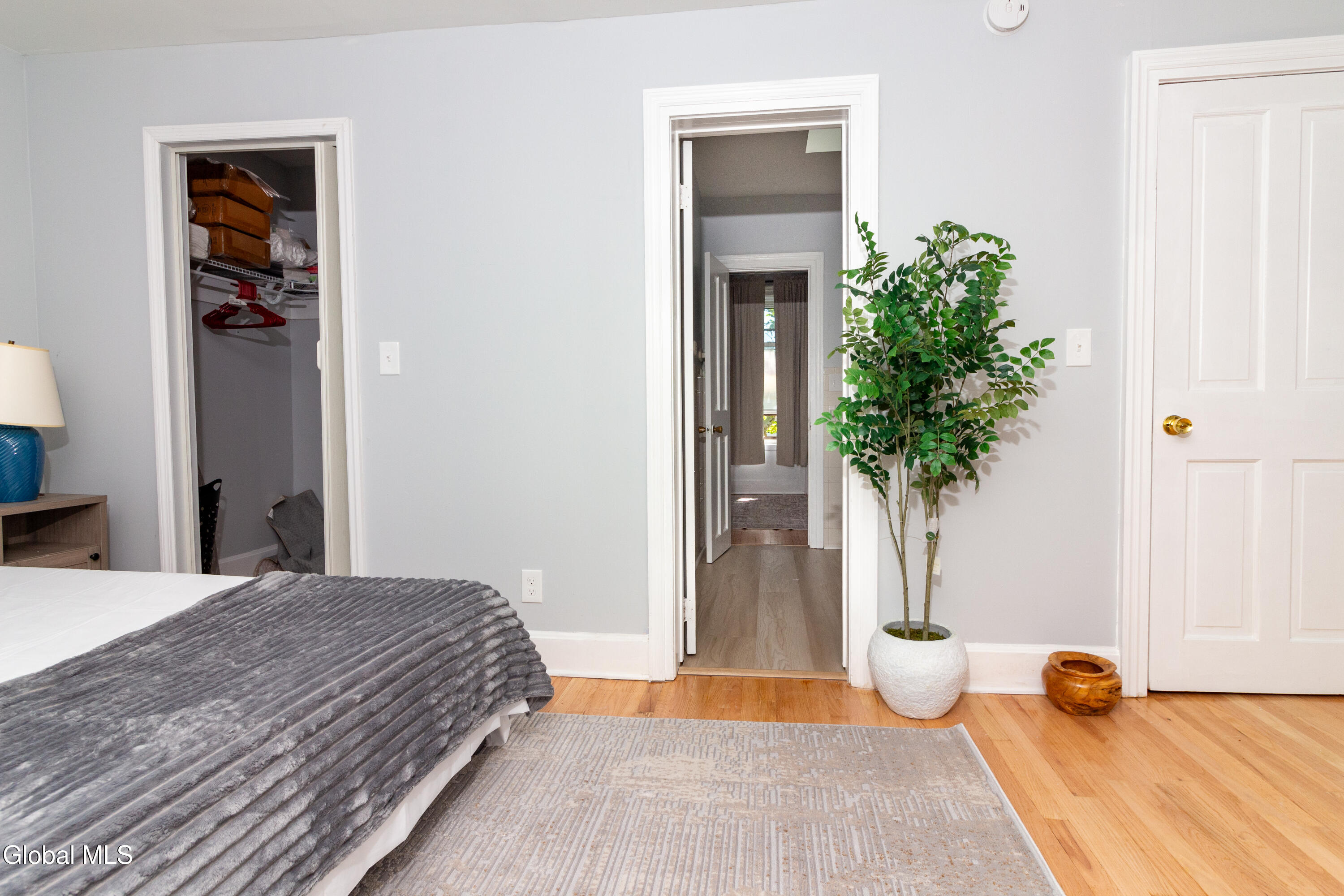 43 Myrtle Avenue Albany NY 12202