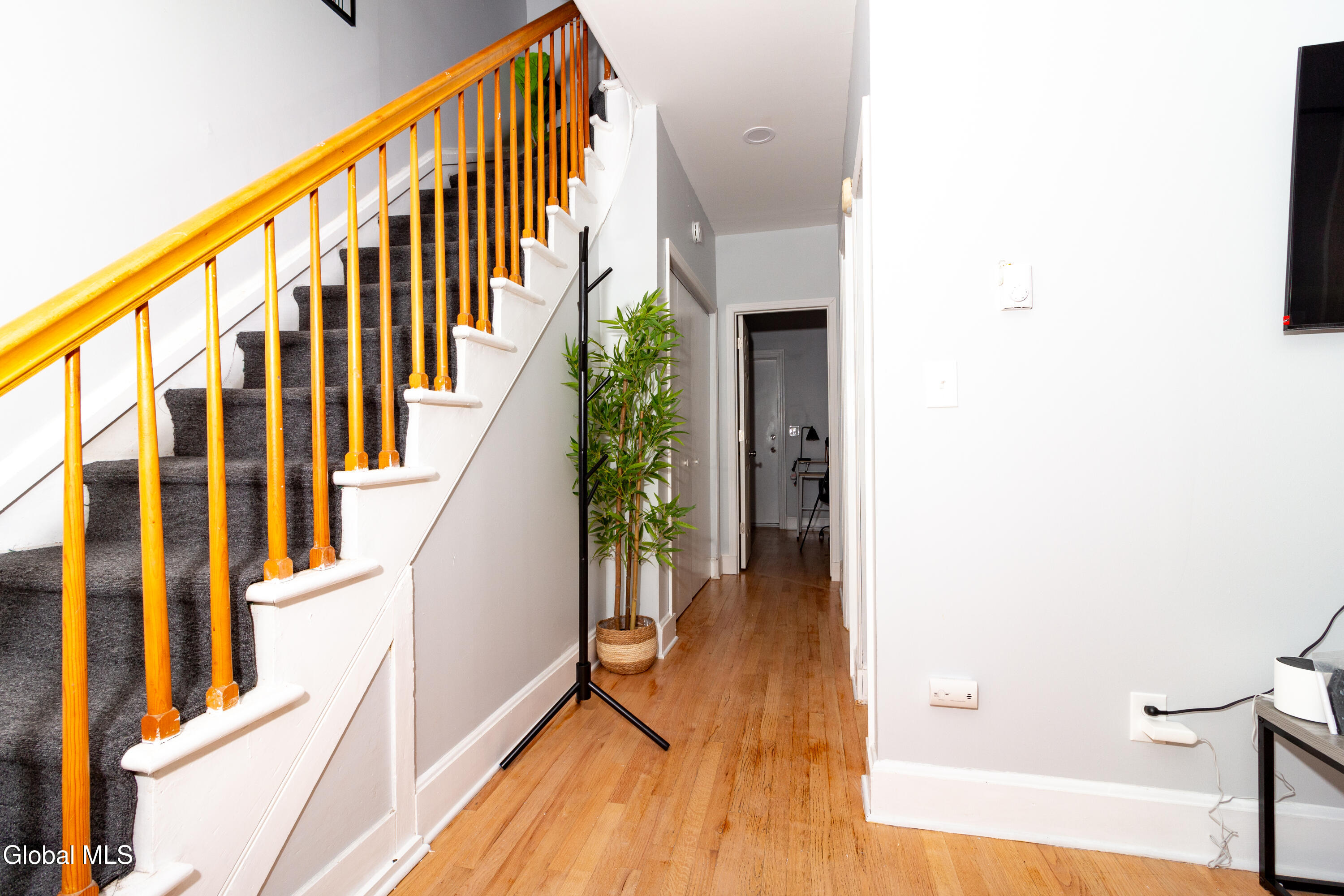 43 Myrtle Avenue Albany NY 12202