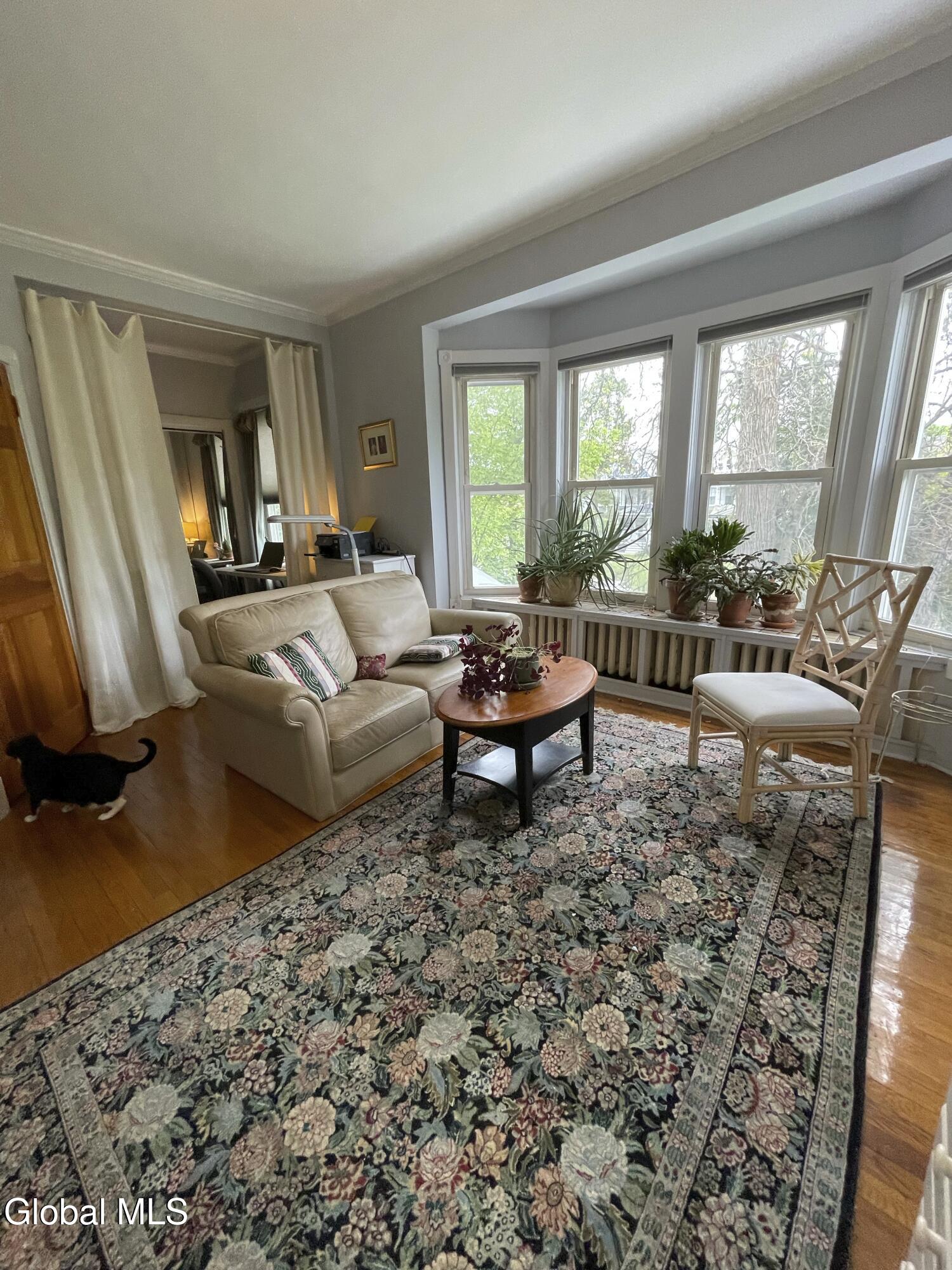 52 S Allen Street Albany NY 12208
