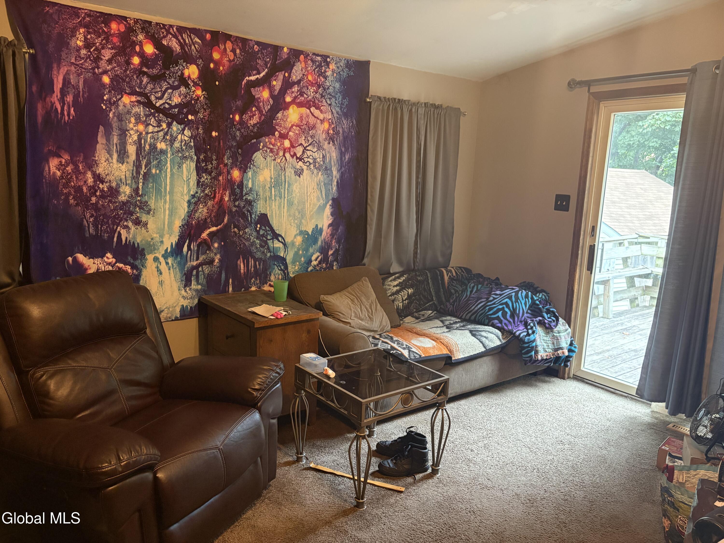 14 Wilmarth Street Scotia NY 12302