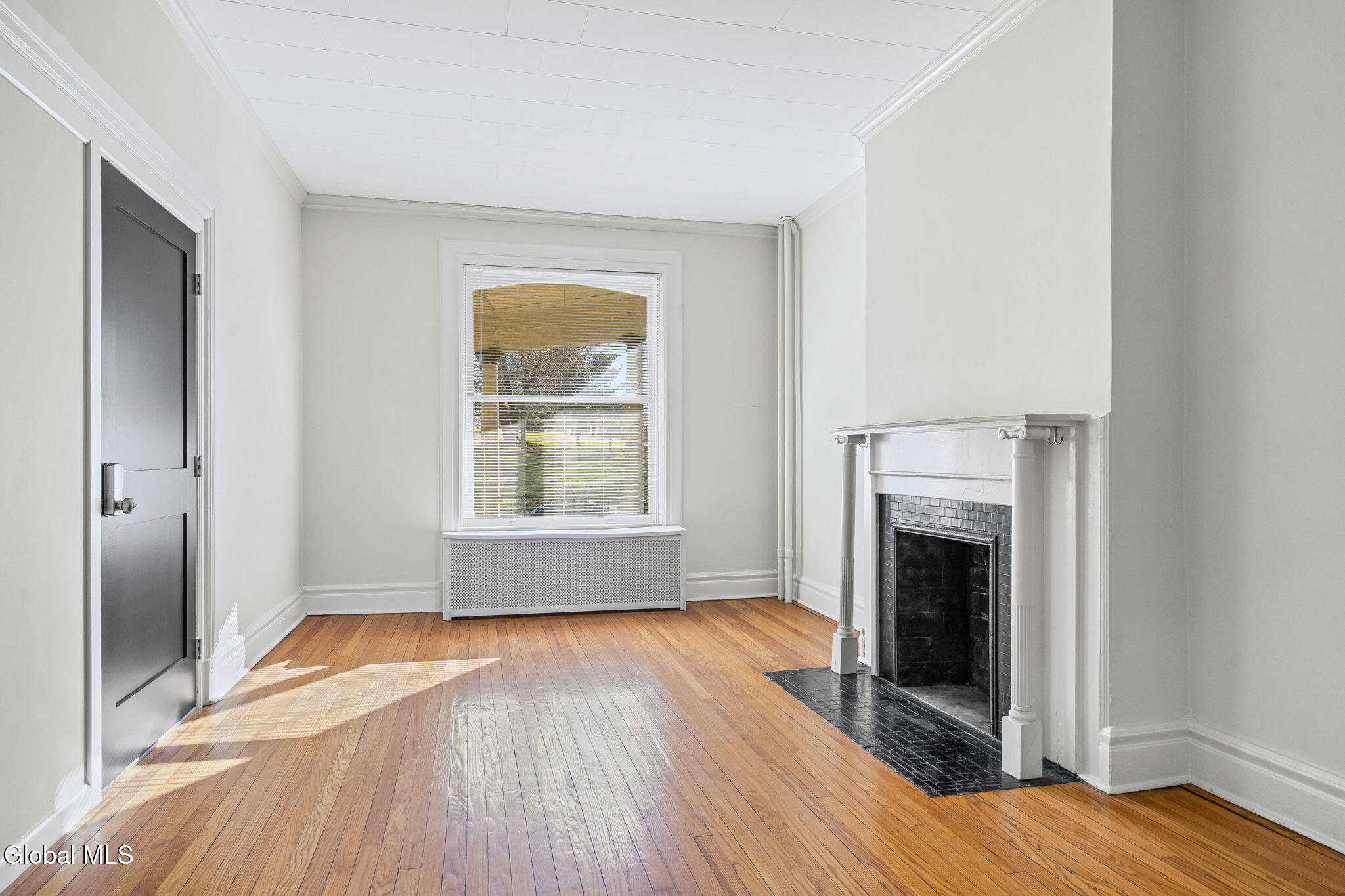 85 S Lake Avenue Albany NY 12203