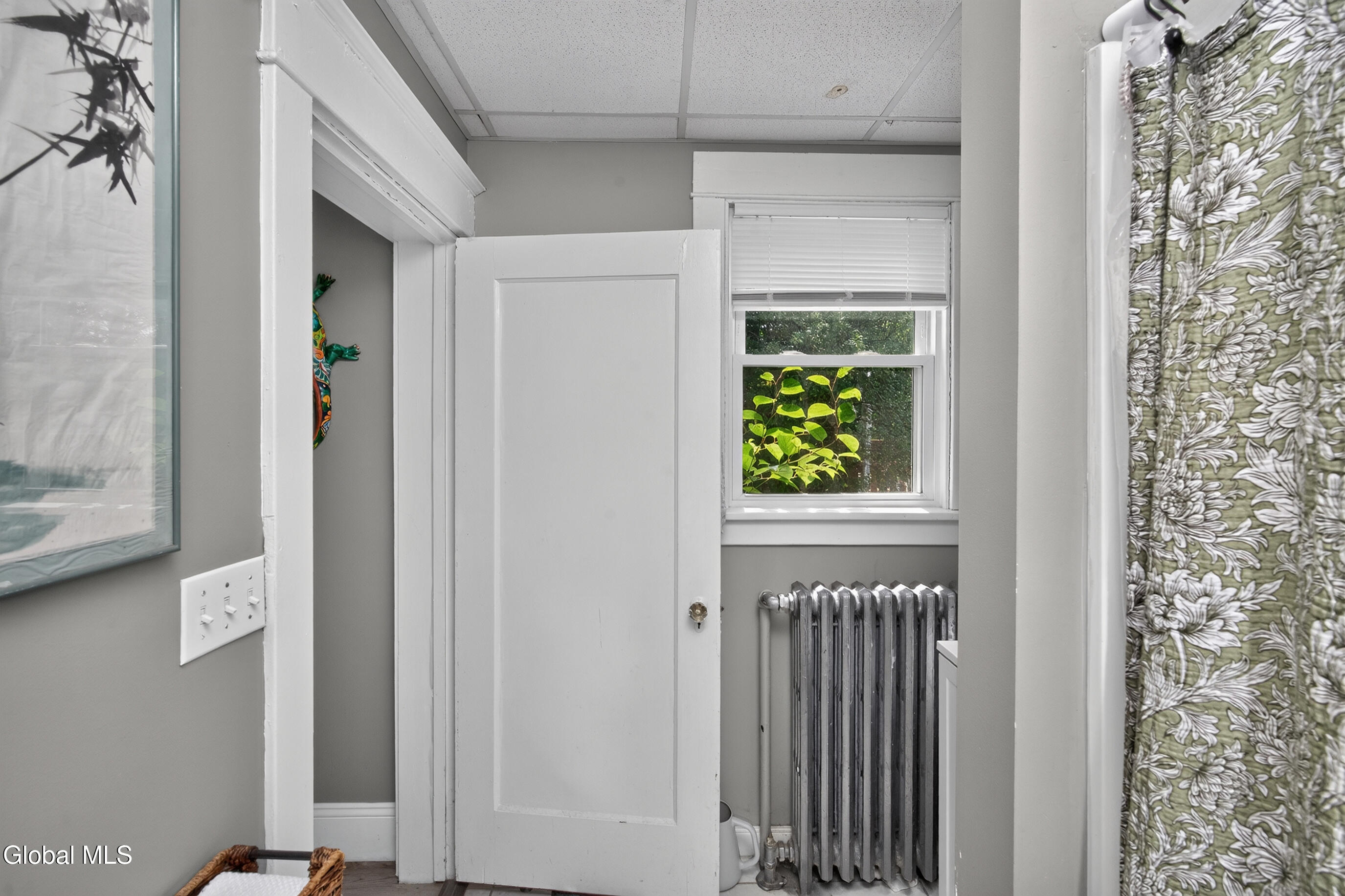 27 Euclid Avenue Delmar NY 12054