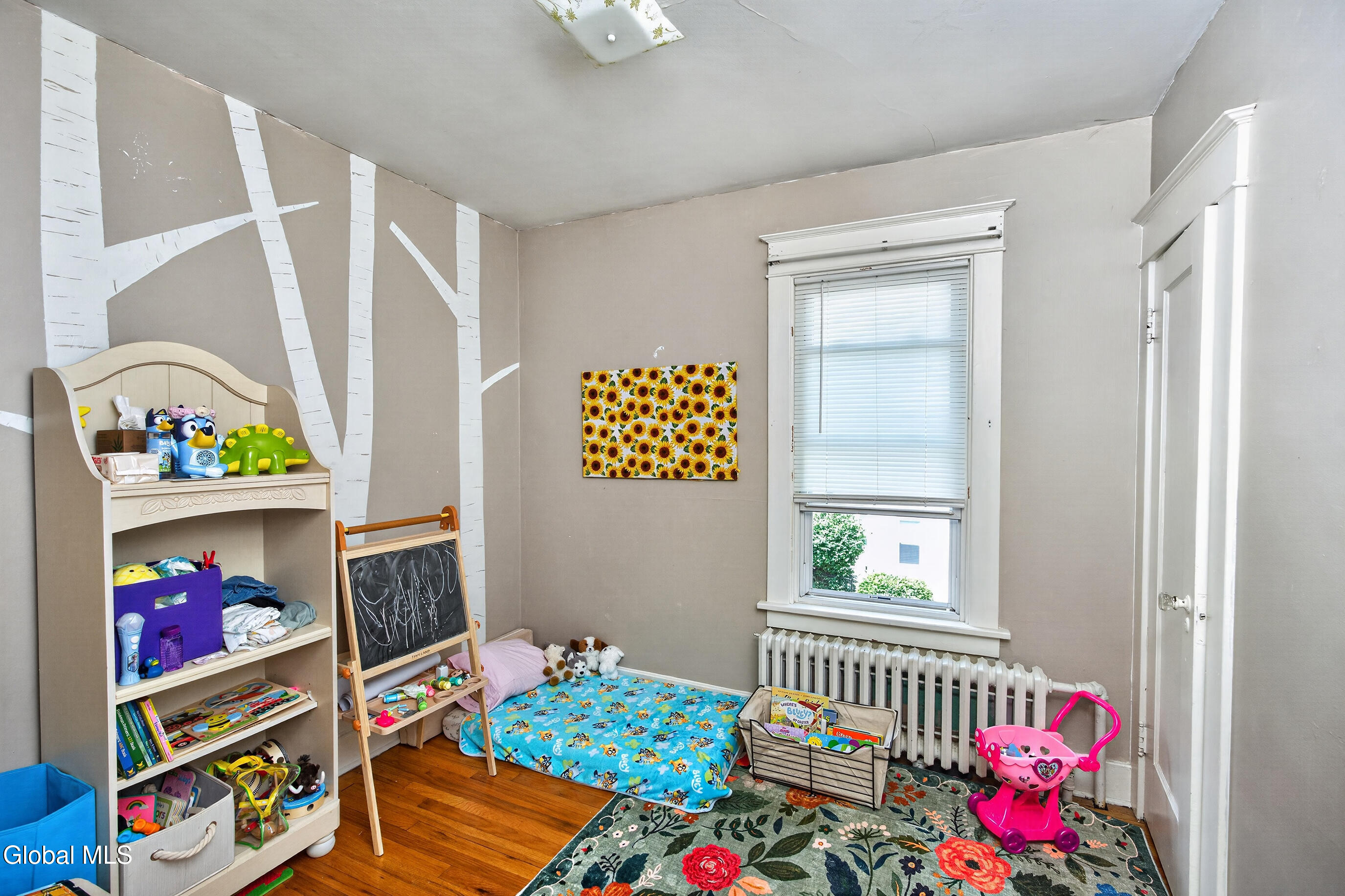27 Euclid Avenue Delmar NY 12054